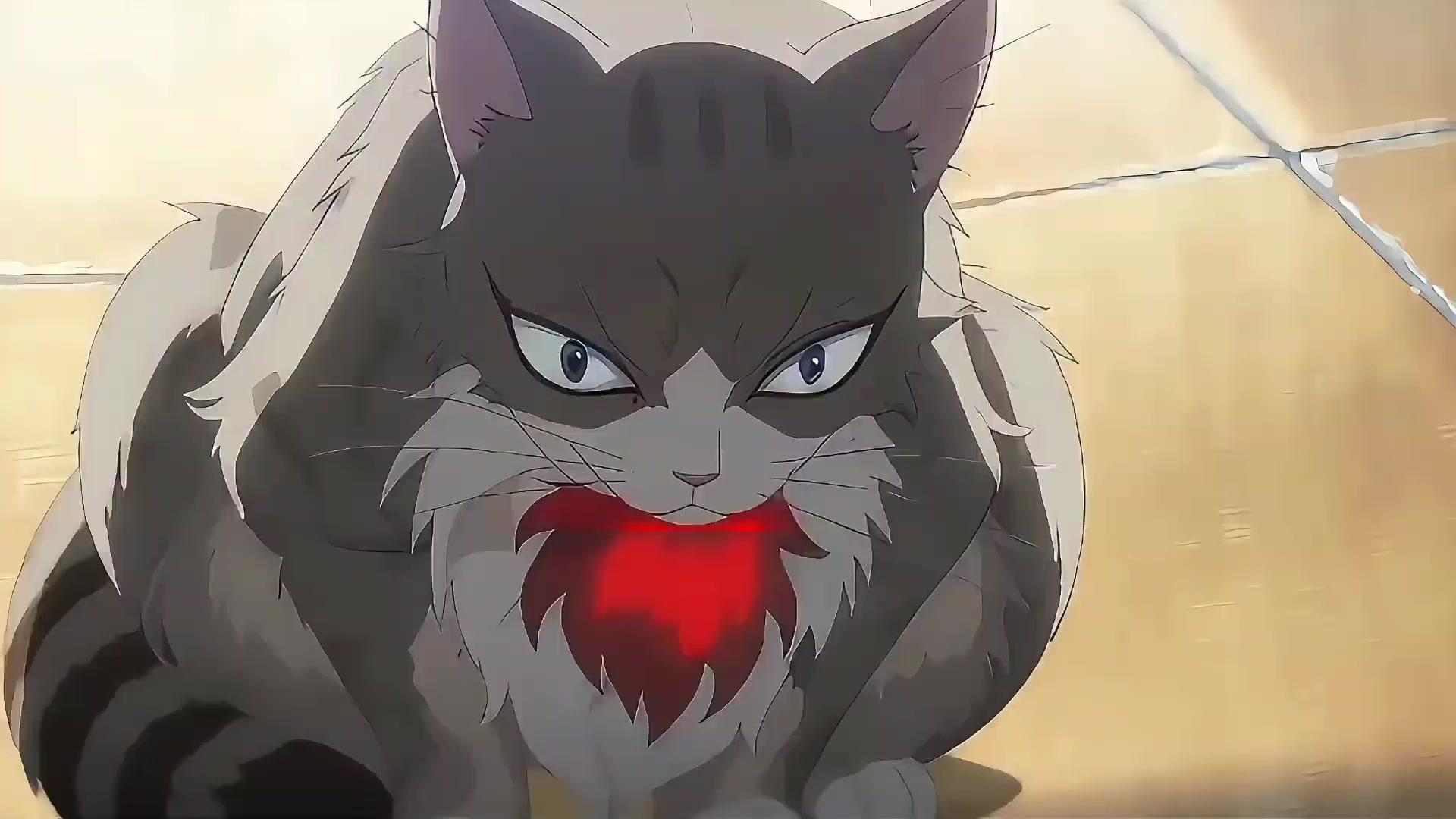 猫死神、寿命チートでハーレム！？