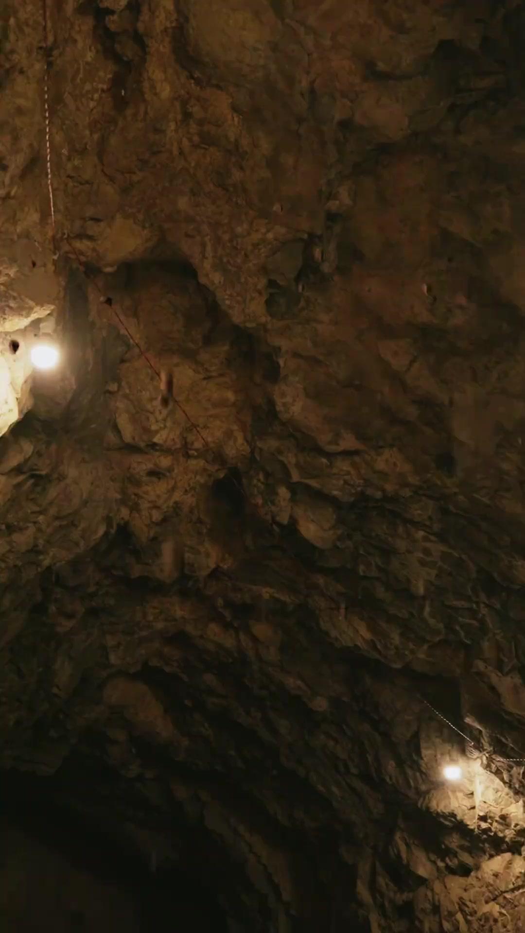 タイムループ・マイン