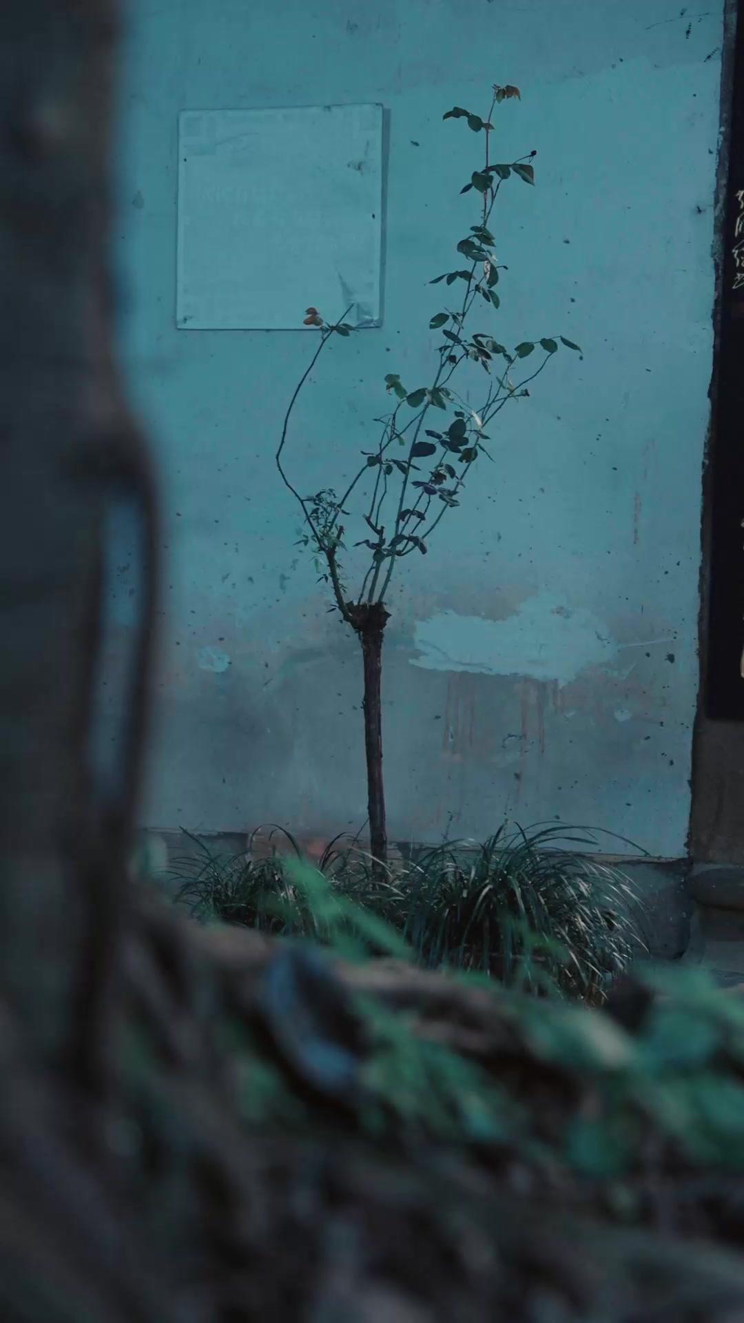 Topeng Menantu Lemah