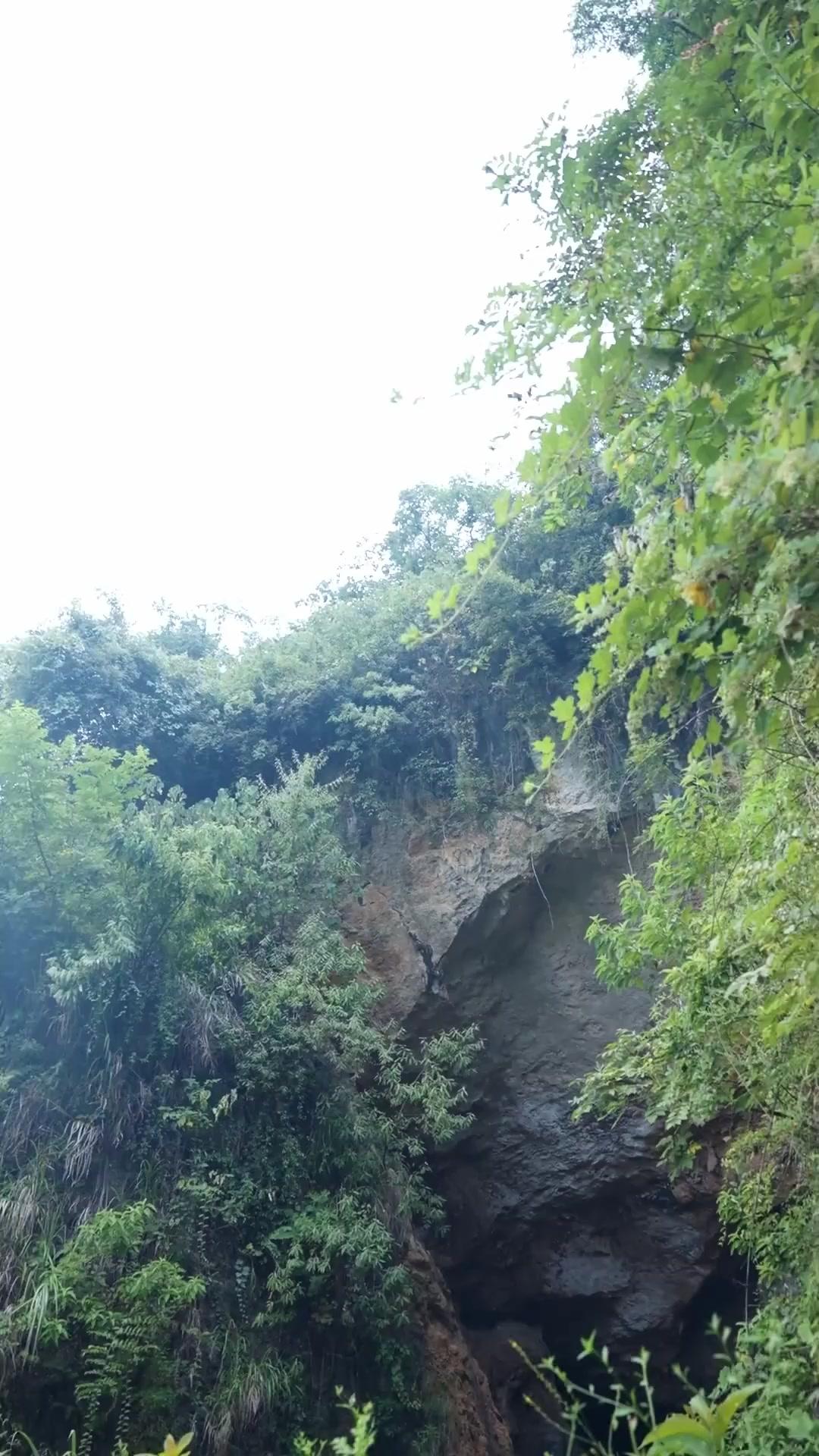 Bangkit Kembali ke Puncak