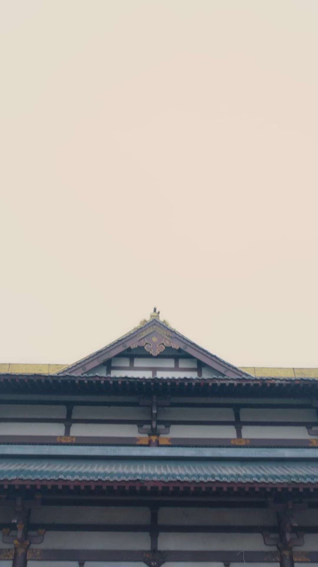 天啊，龍種會說話