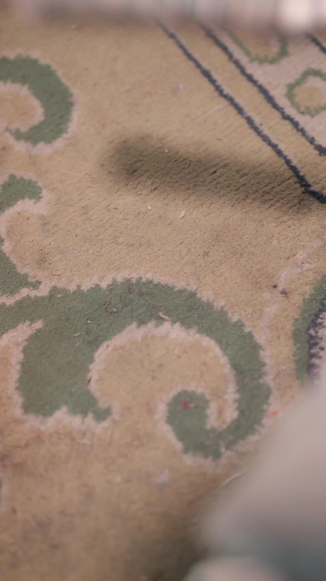 父憑女貴：瑞獸萌寶扶爹當皇帝