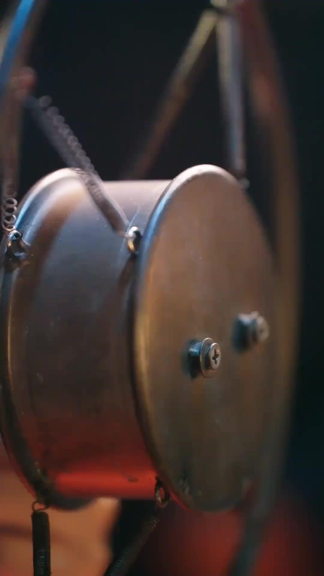 The Lady, Sweet Yet Untamed