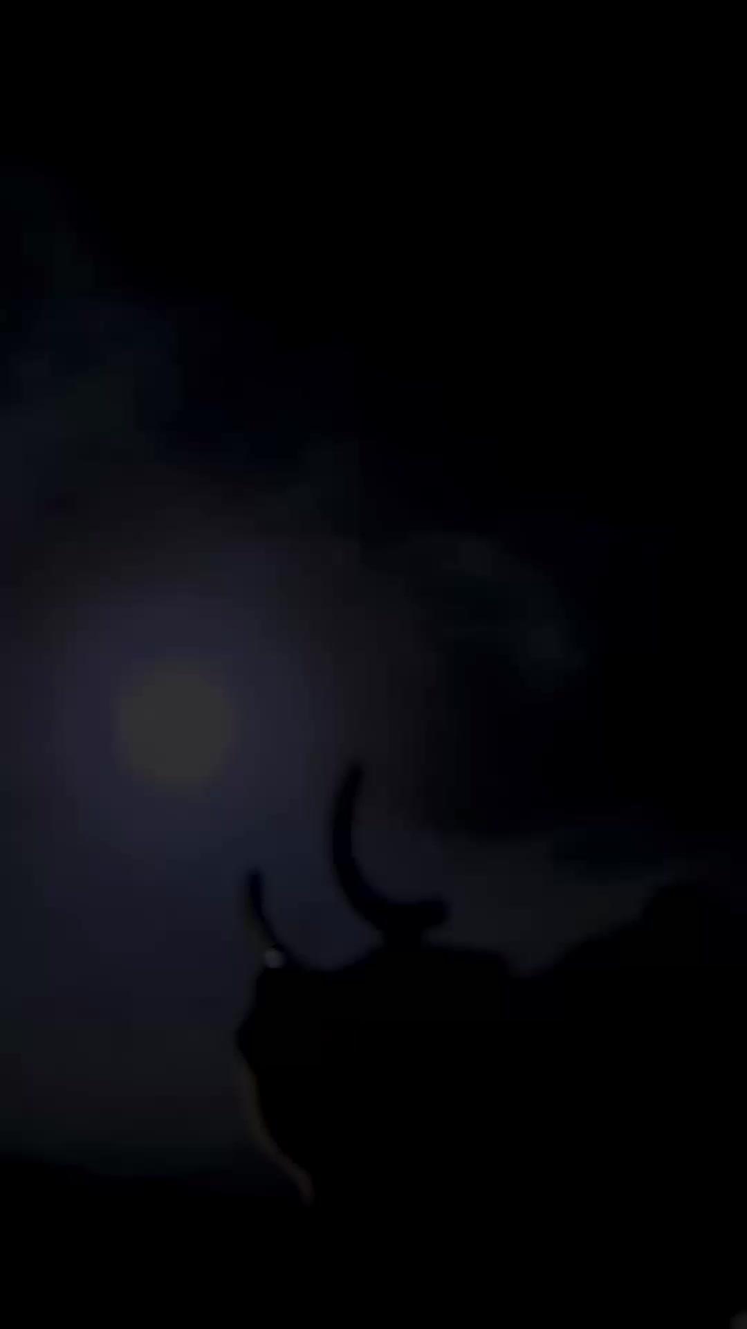 Catatan Pelarian Sang Permaisuri