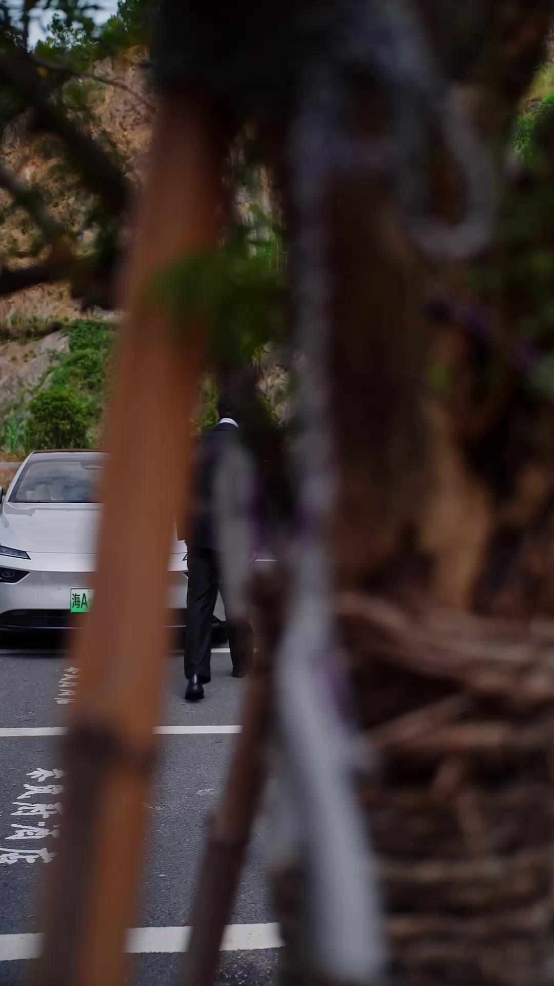 Dokuz Kuyruklu Sırrım