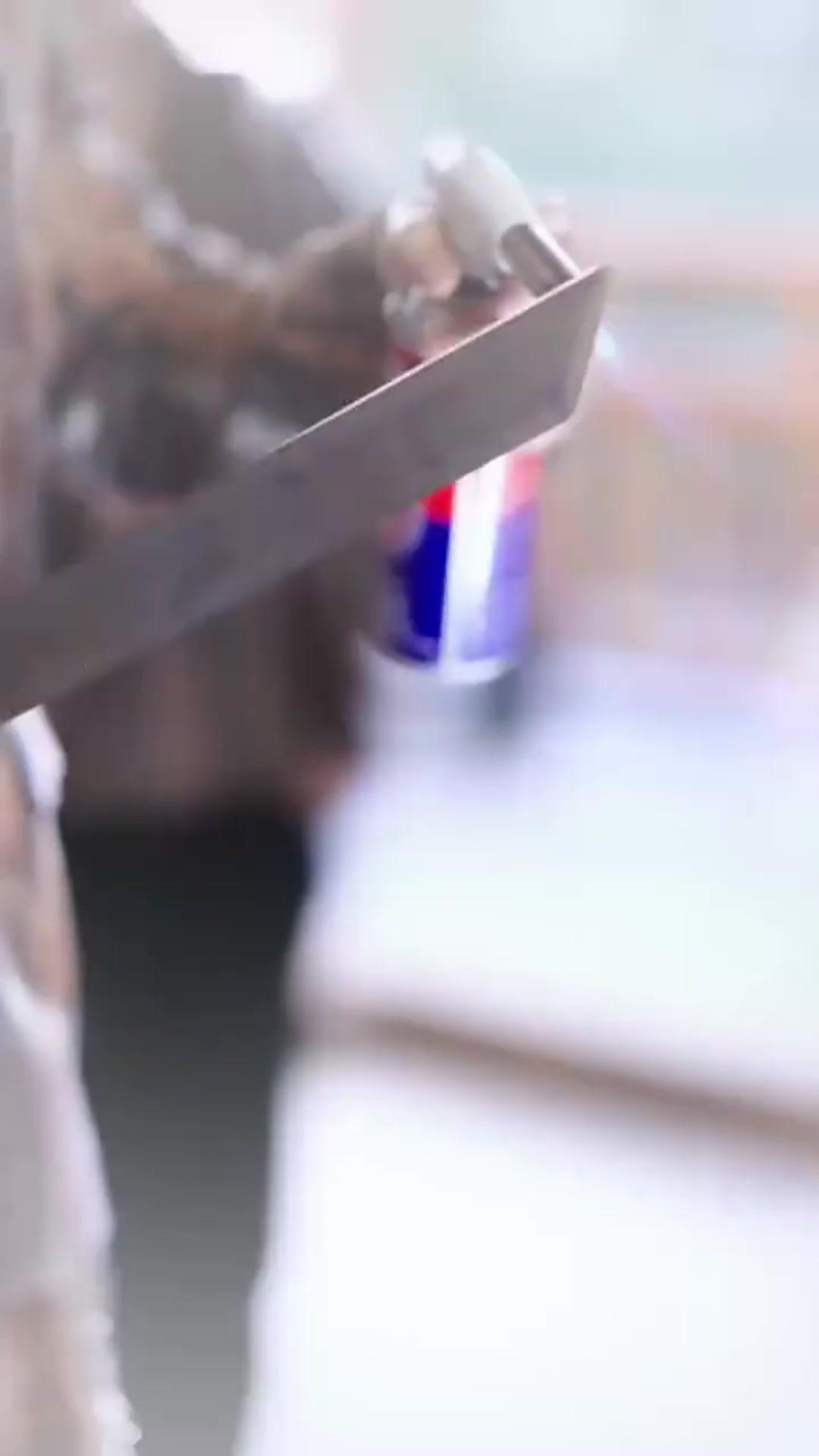 Pewaris Mantra Penguasa Hewan