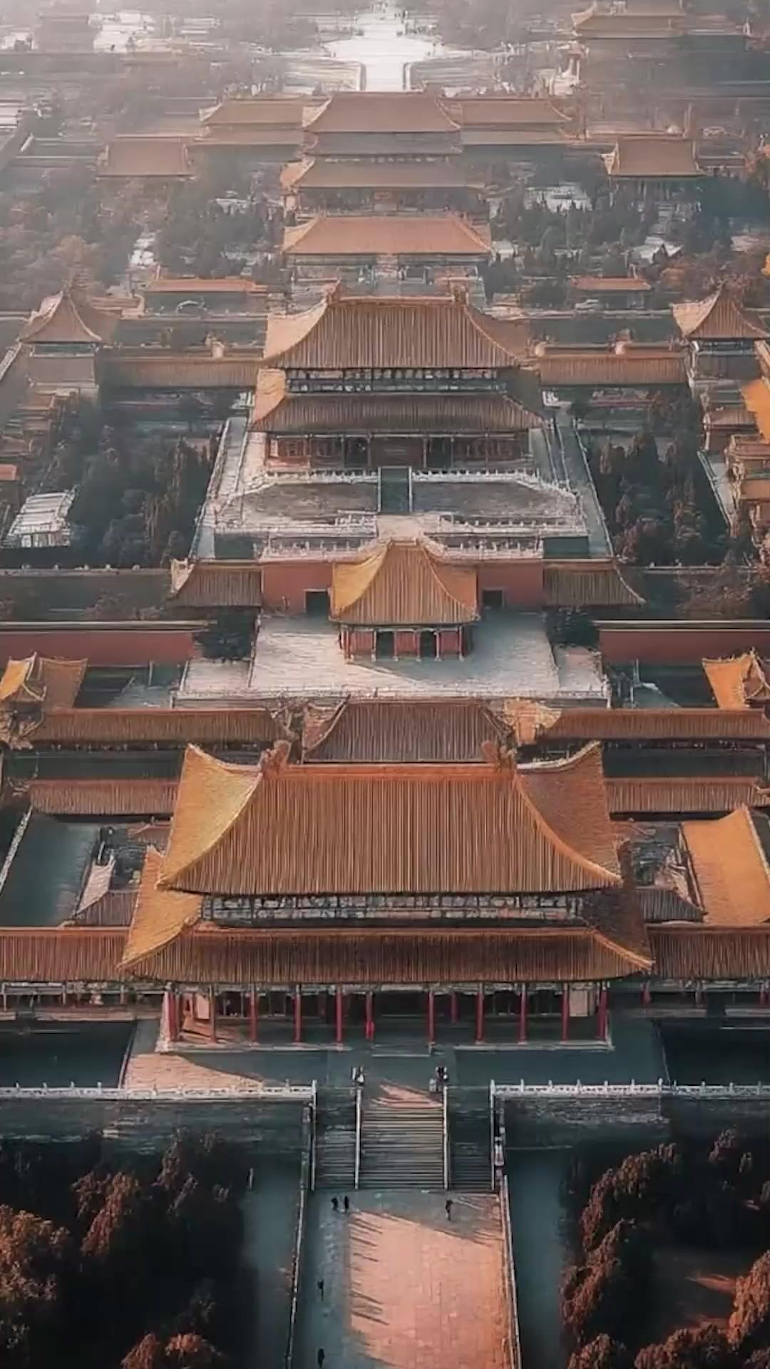 (Dubbed) The Hidden Tyrant