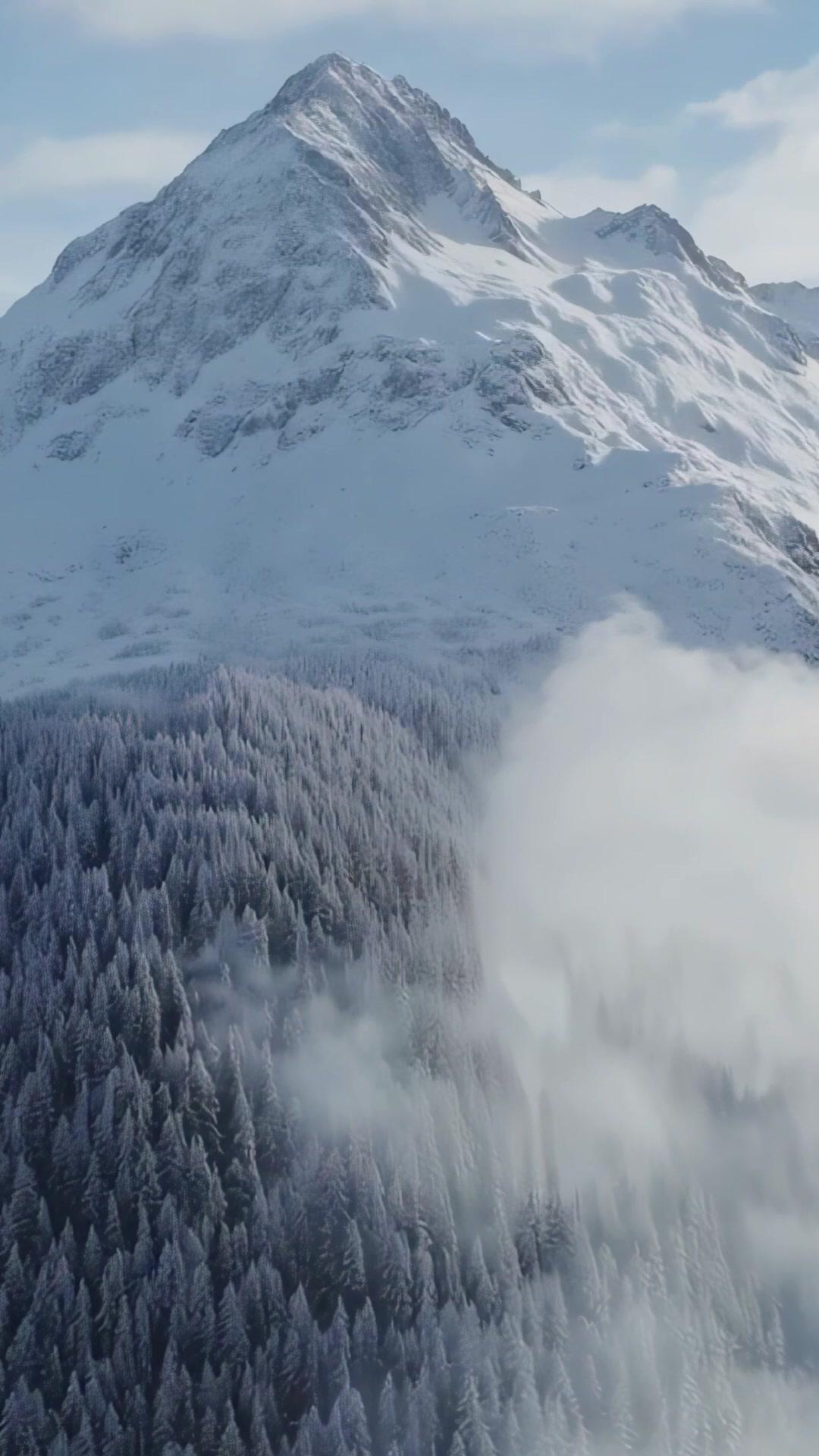 O Meu Pai é um Lobisomem?!