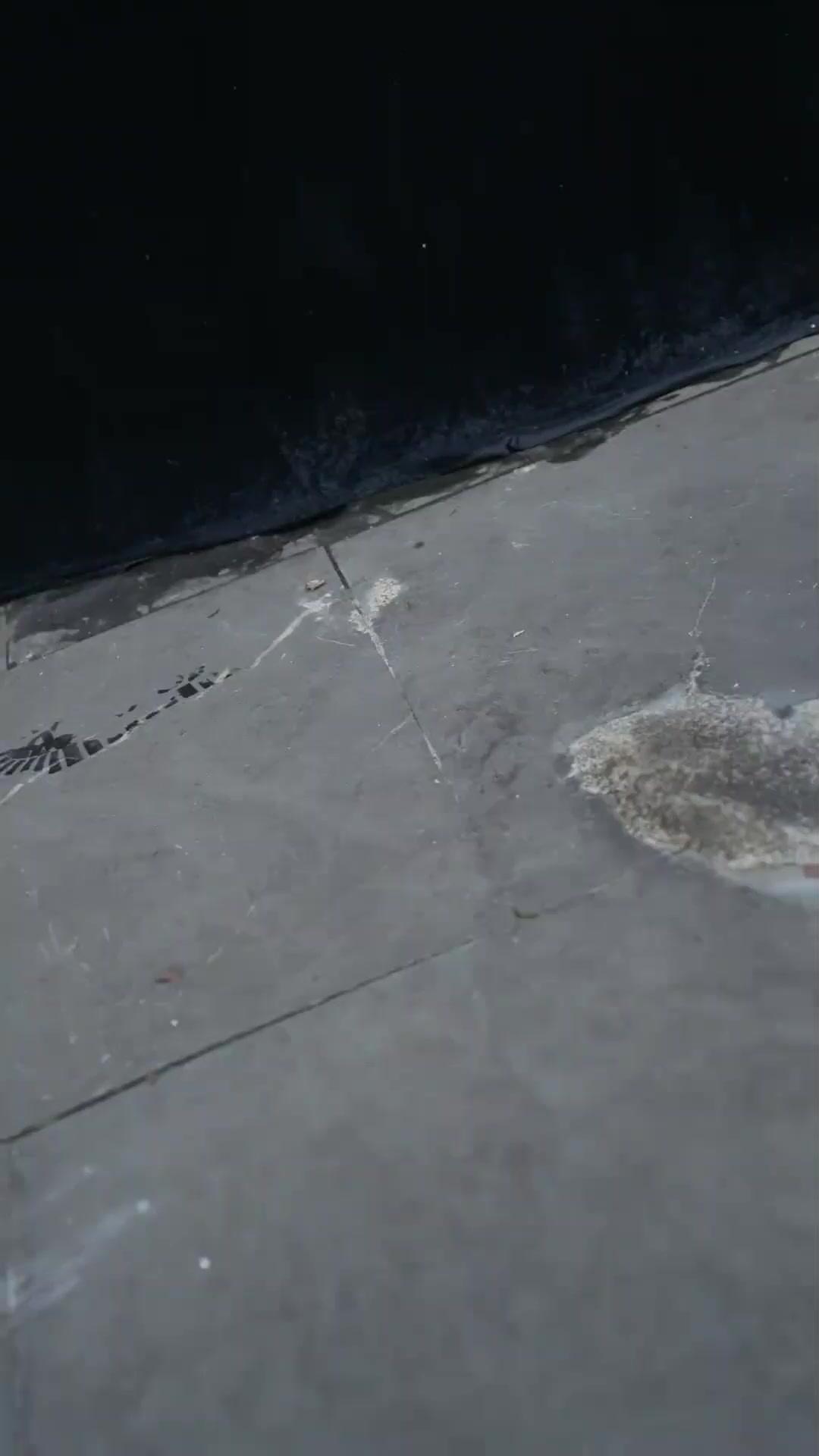 (Dubbed) My Cook Father is A Martial Master?