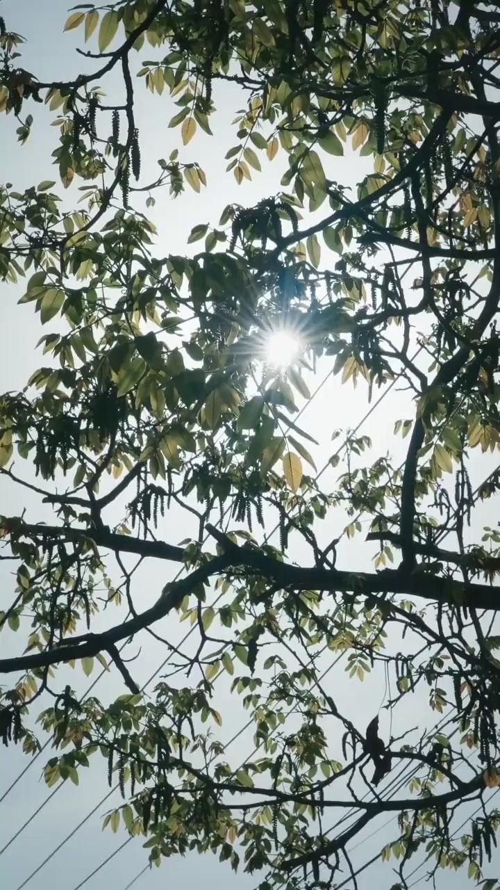 (Doblado) La más guapa no me suelta