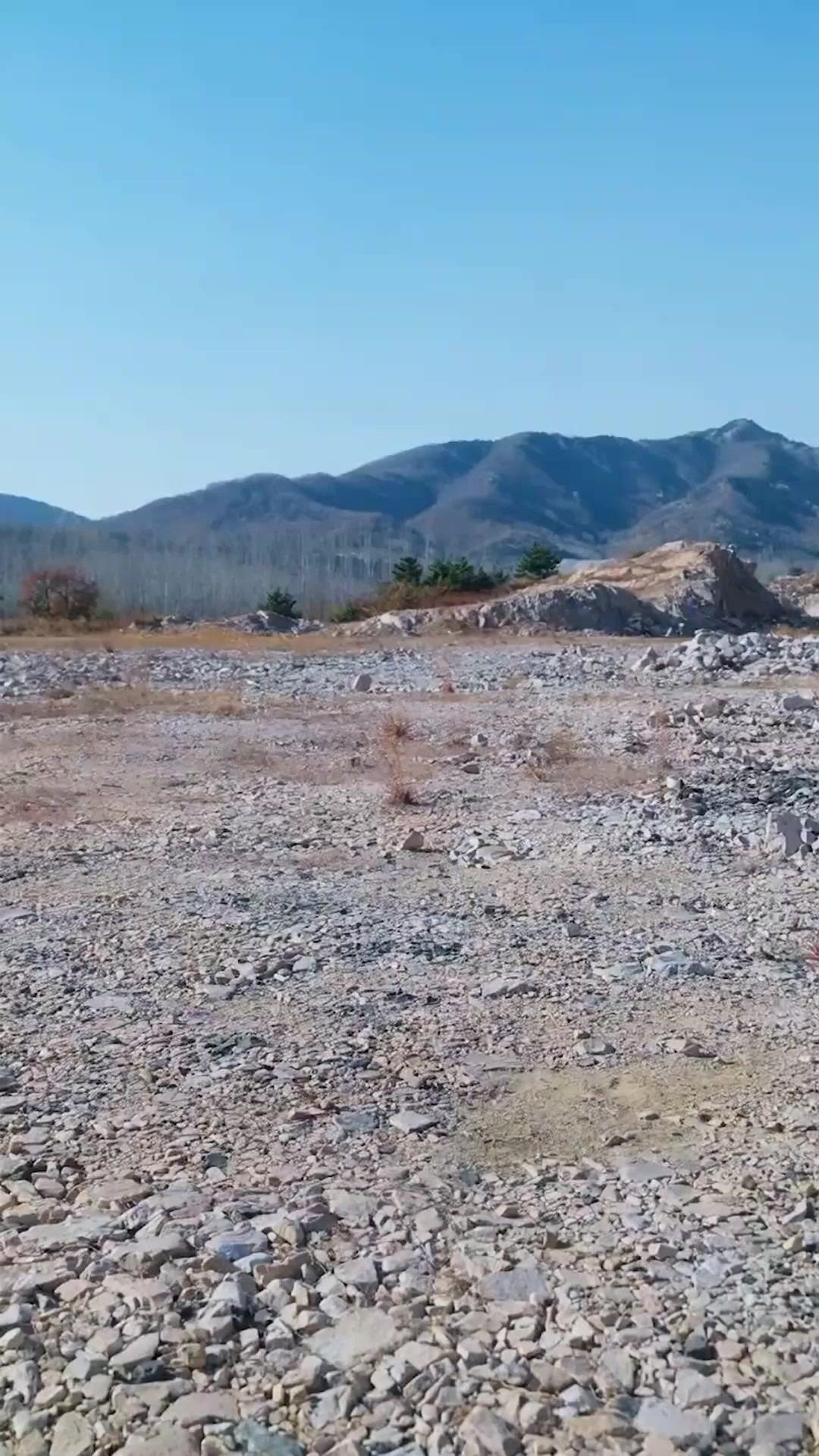 (Doublage) LE ROI LOUP CACHÉ : UN HYBRIDE MÉPRISÉ