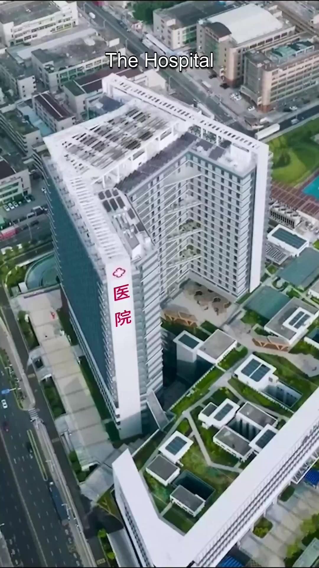 Reborn at 70: Granny's Ultimate Payback