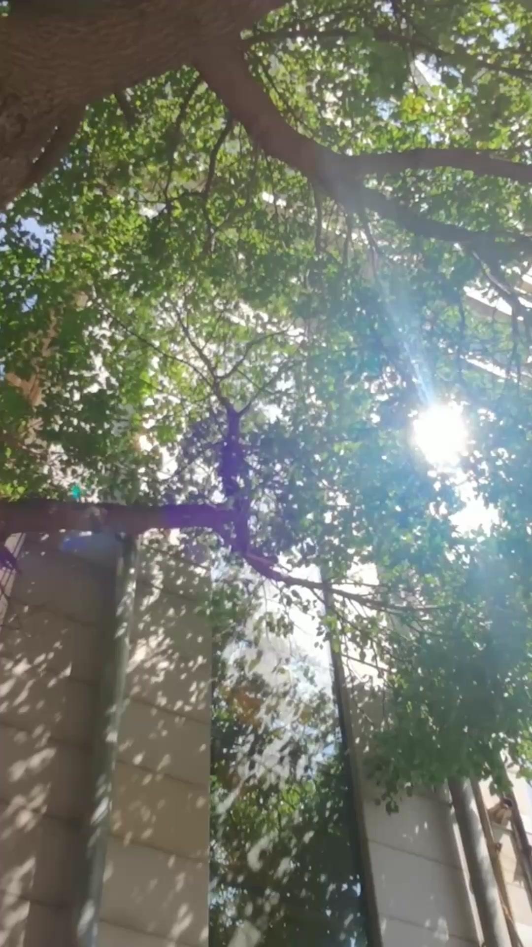 偏心父母，請看我的婚後人生