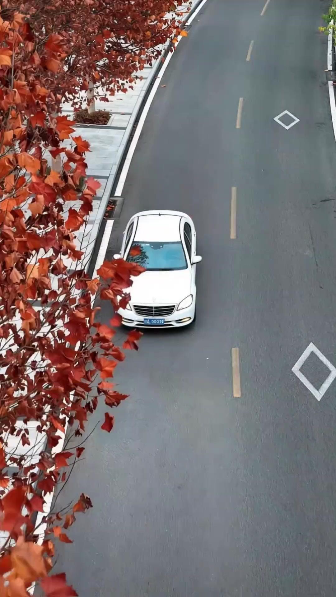 A Gentil Lâmina do Marido