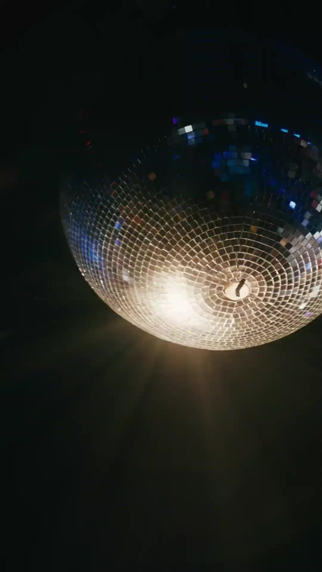 अरबपति का रक्षक