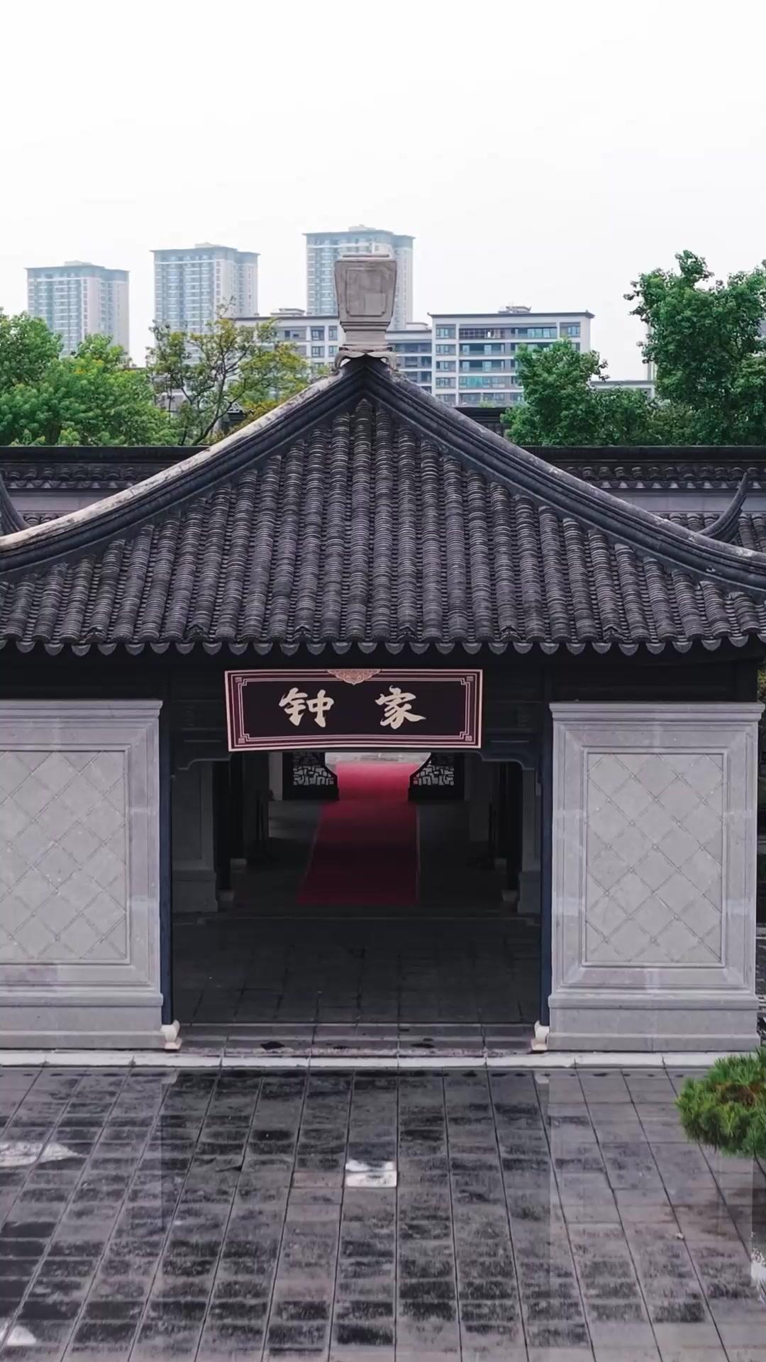 老祖宗重生曾孫女：專治不孝子