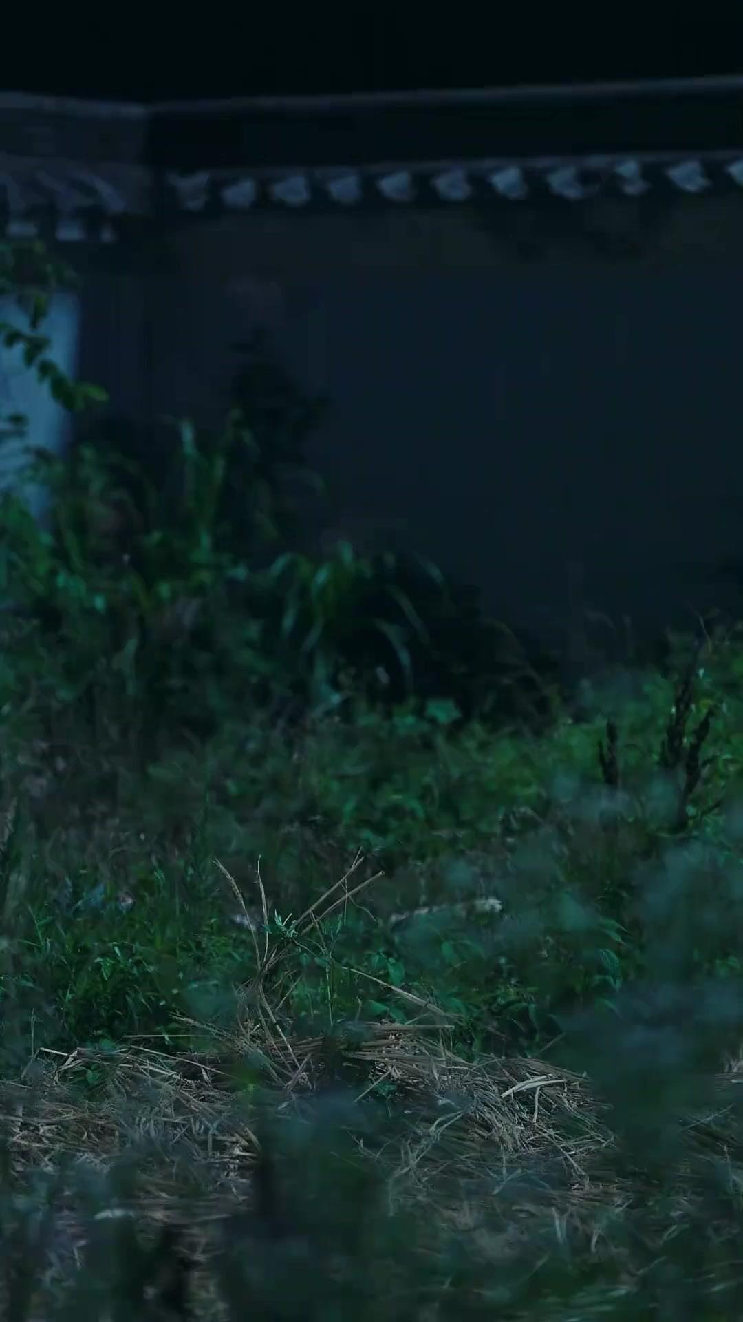 Permaisuri Yatim Penuntut Balas