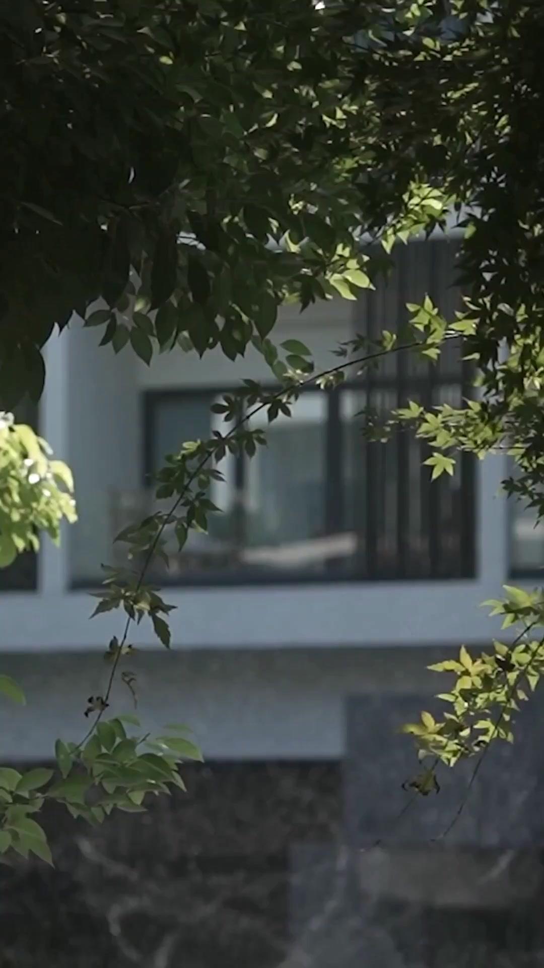 (Doublage) LUMIÈRE INTERDITE