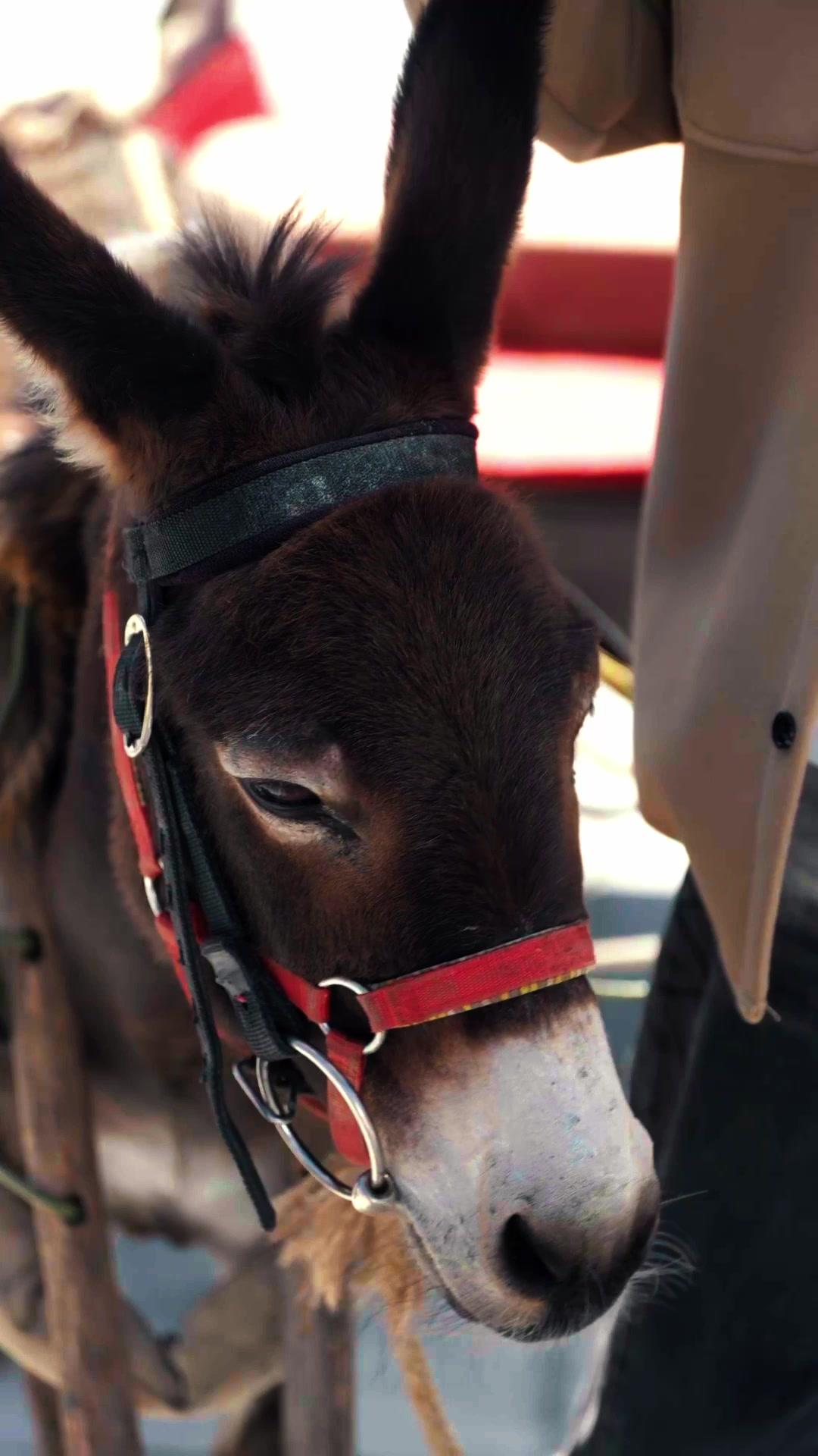 Müllers verborgene Macht