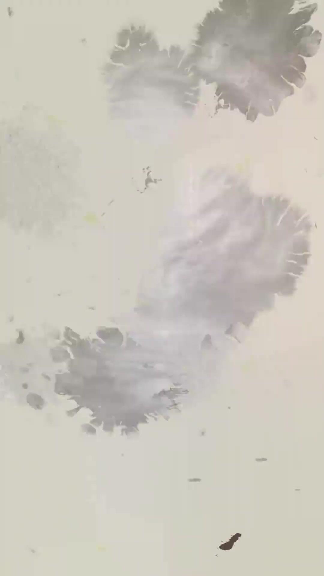 (吹き替え)霜炎伝