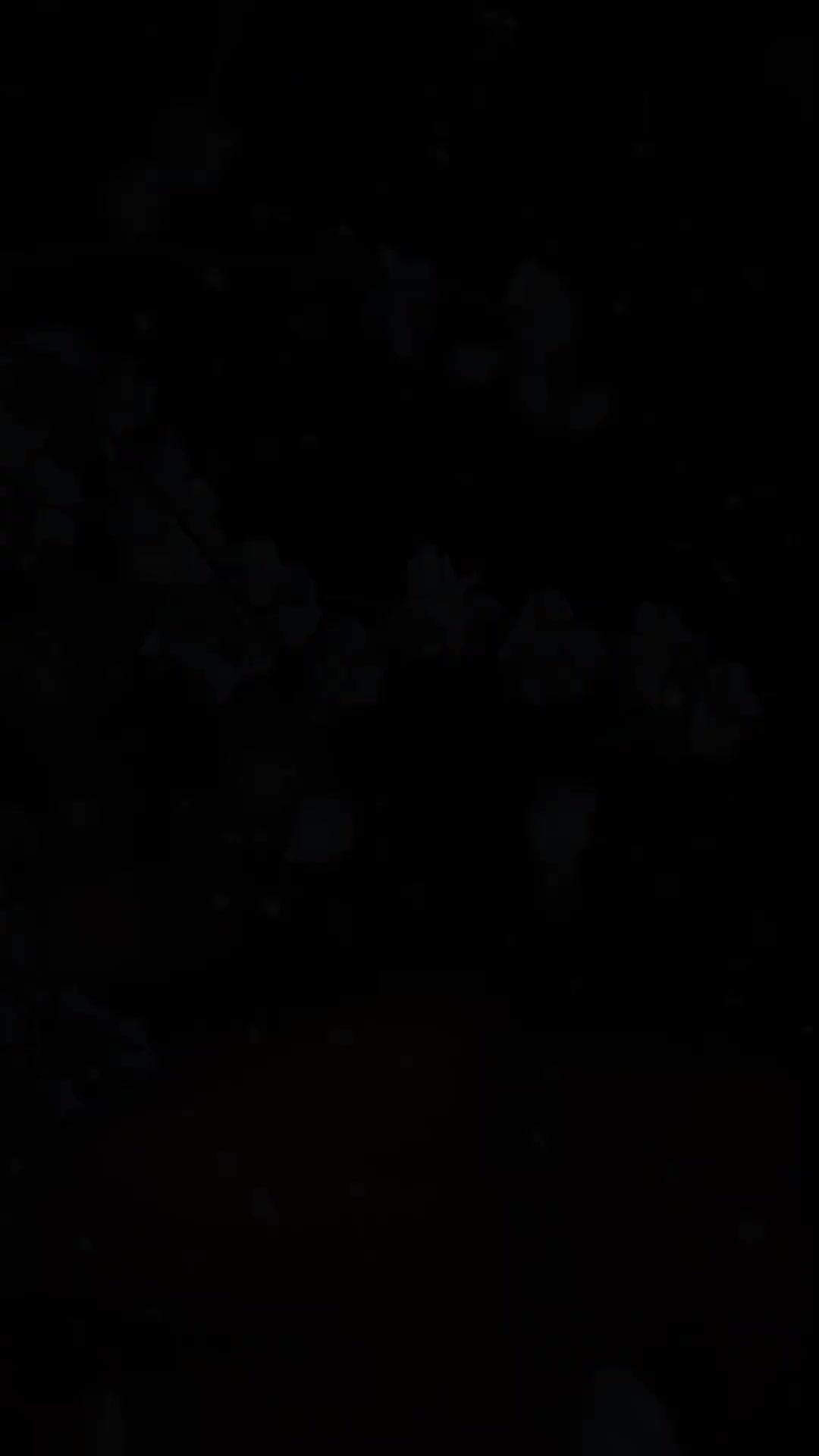 身代わり妃の秘密