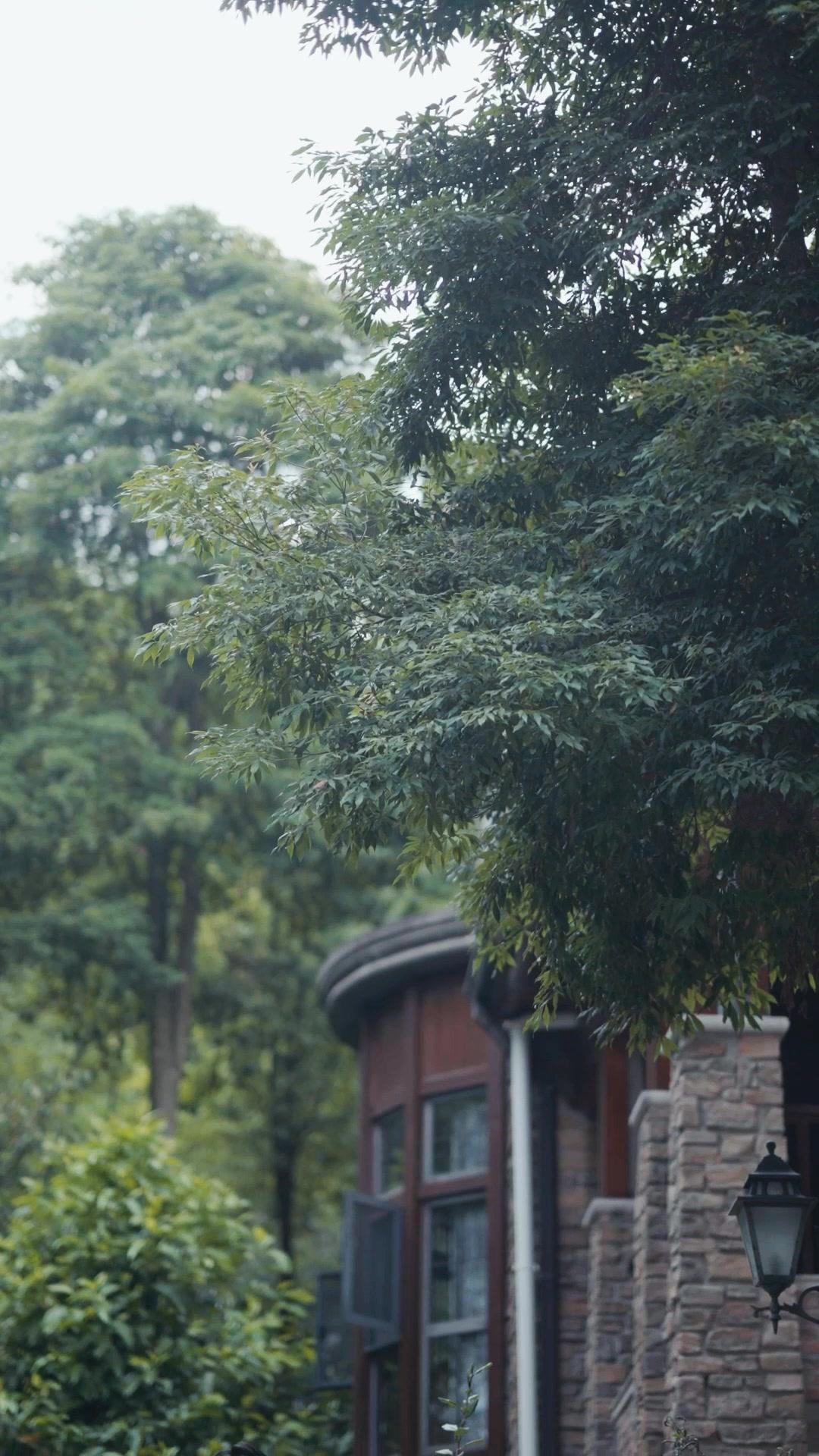 LE PÈRE FROID, LE CŒUR CHAUD