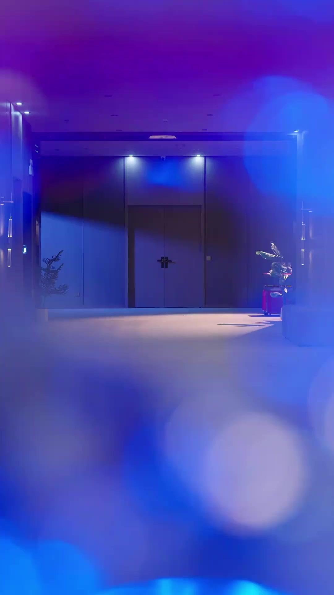 ダブルフェイス・ファミリー