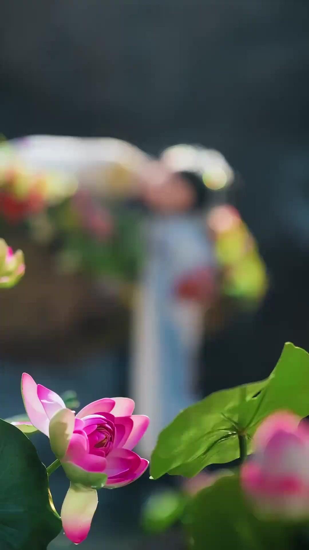 하늘에서 떨어진 세자비