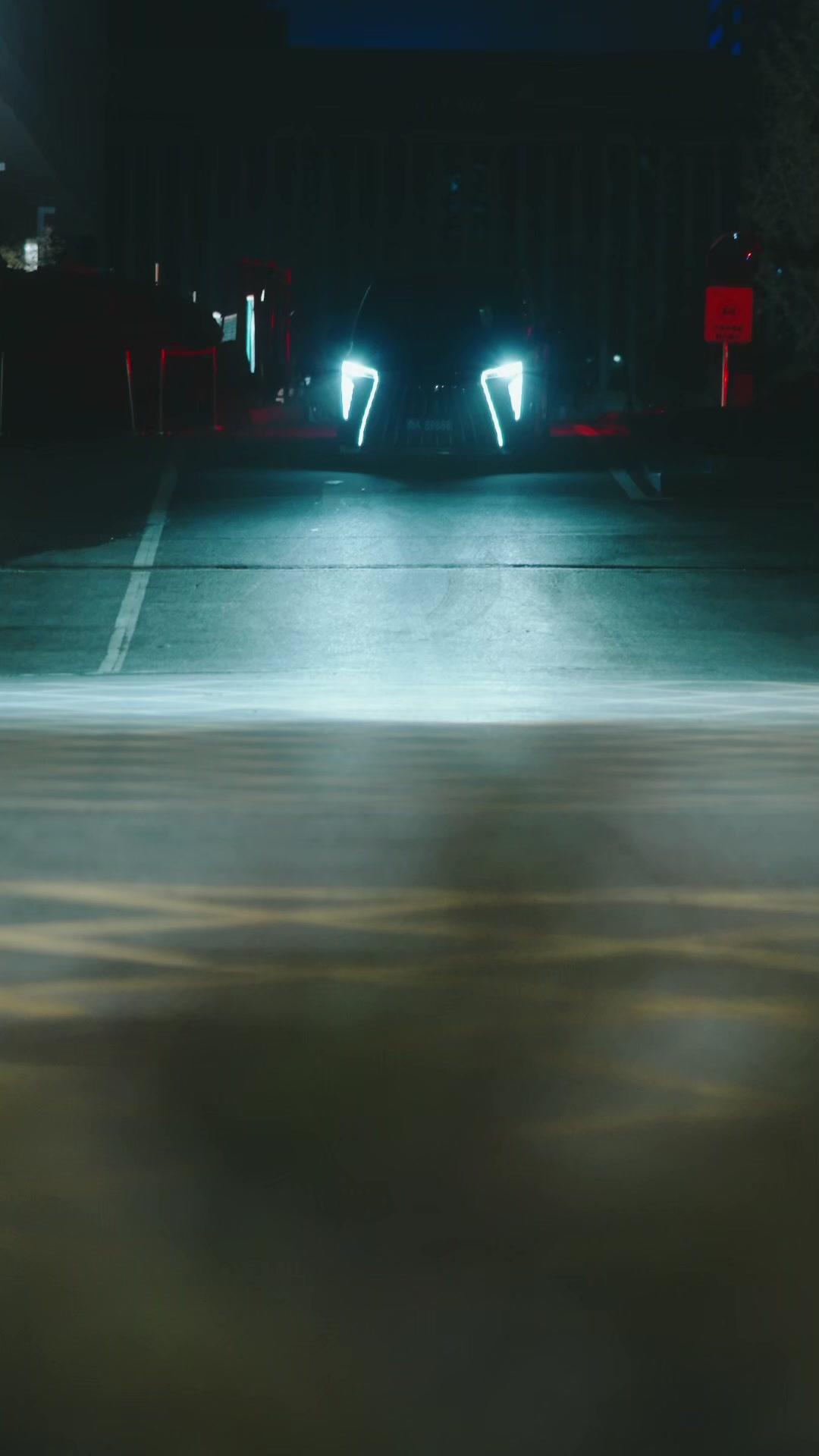 Hanımefendi Suikastçı