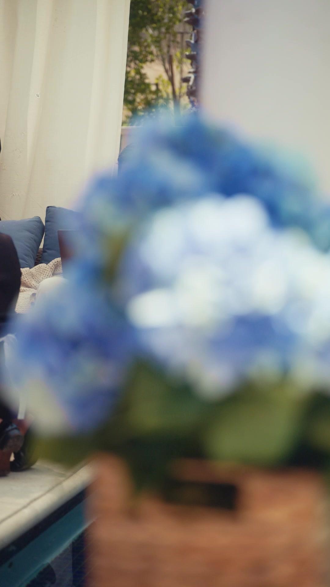 Pregnant with Billionaire's Twins, Love Begins
