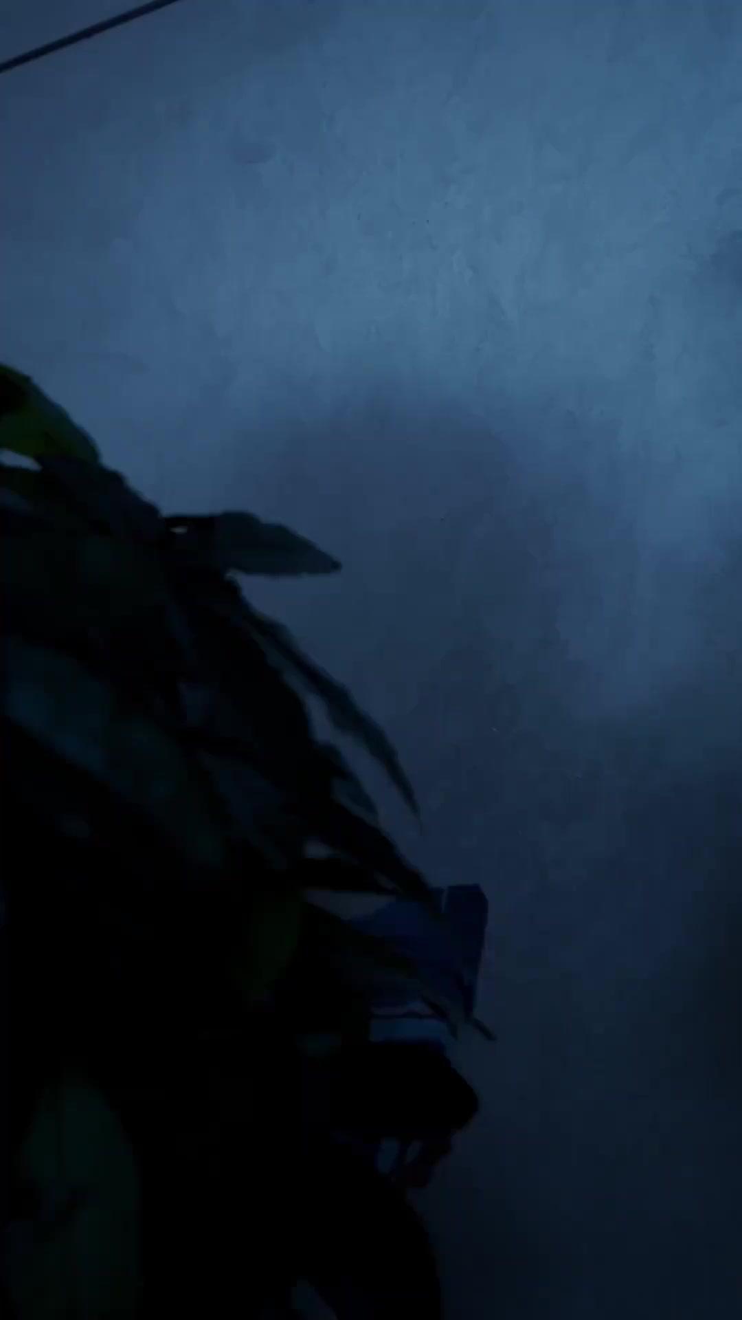 ป่วนรักคุณพ่อสุดหล่อ