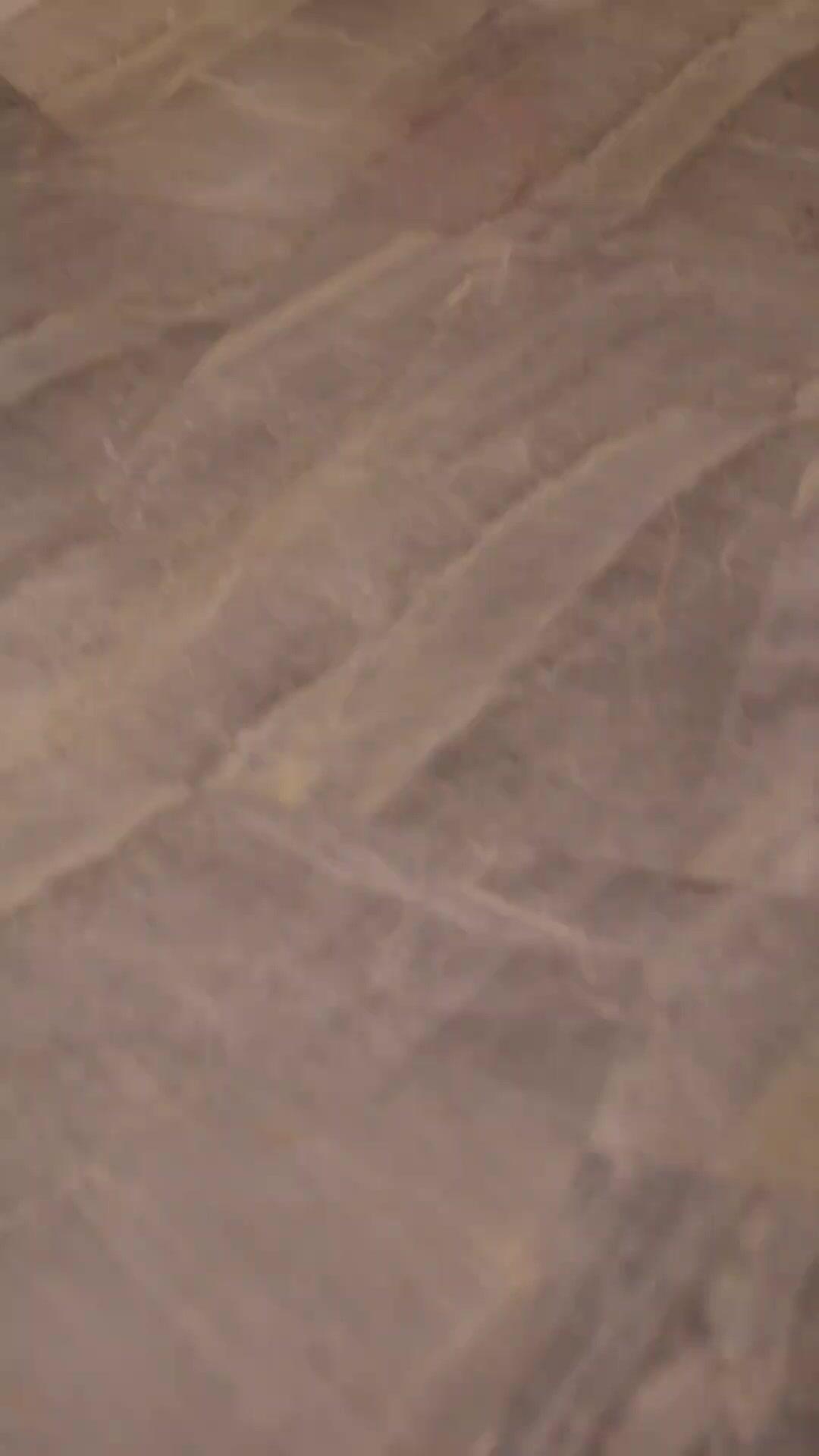 Please Marry Me, My Anti-Allergy Sweetie!