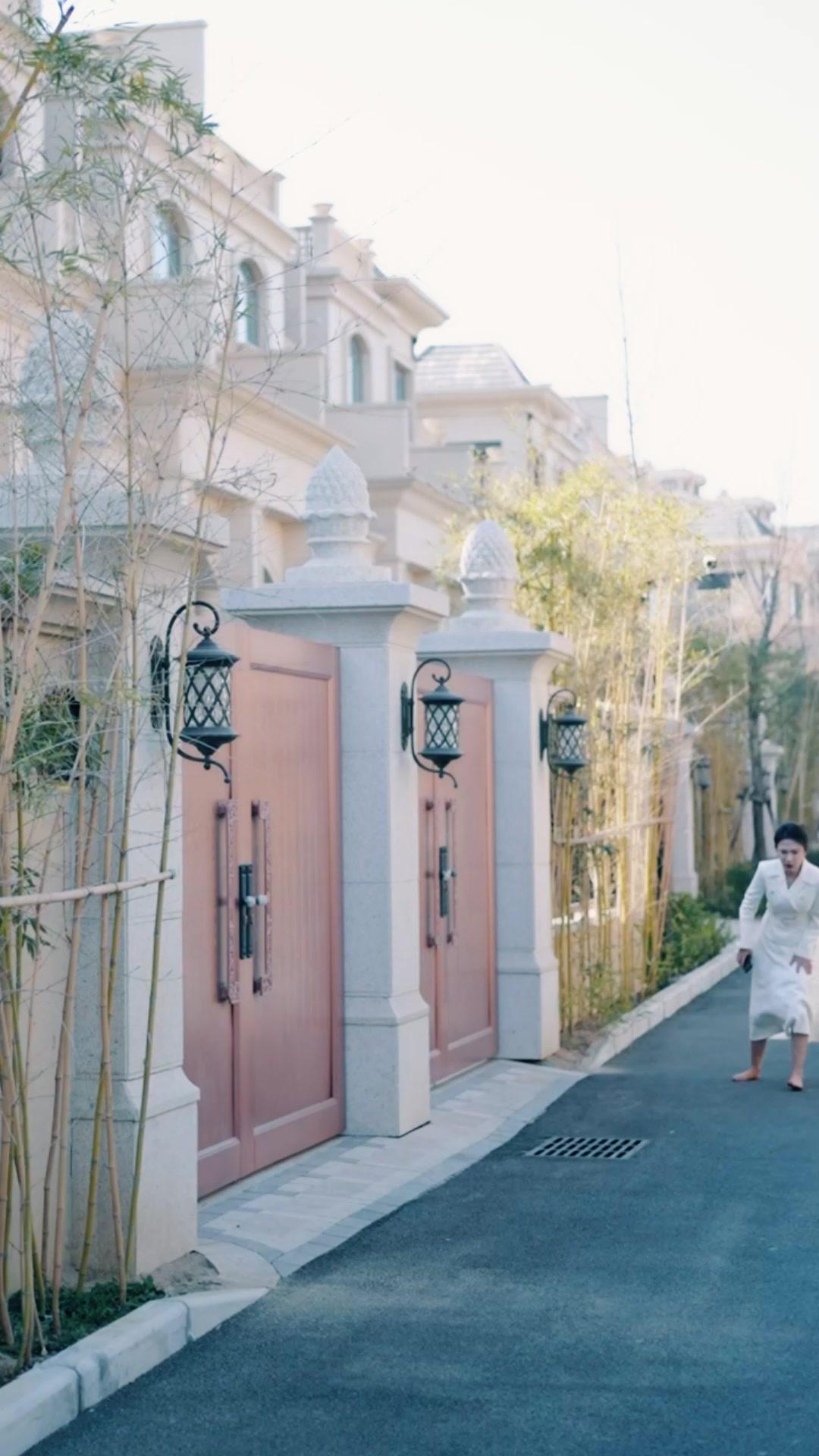 重生24小時：救女保衛戰