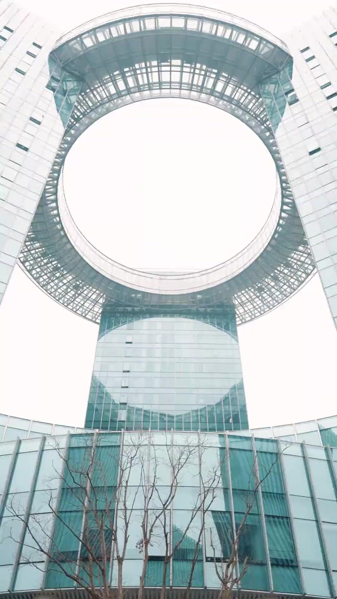바람을 타고 돌아온 진심