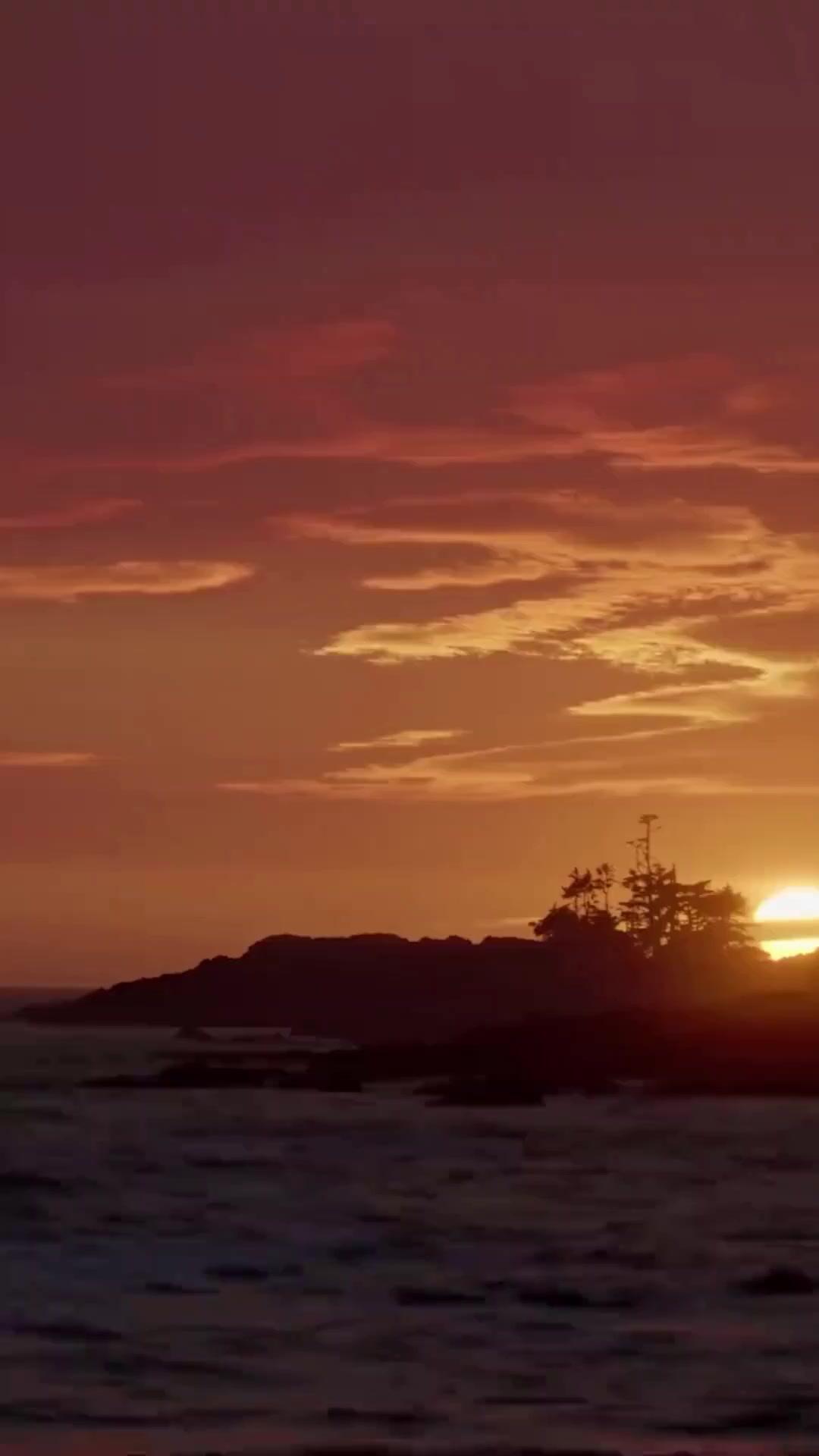 (Dublagem) O Ataque do Tubarão Gigante