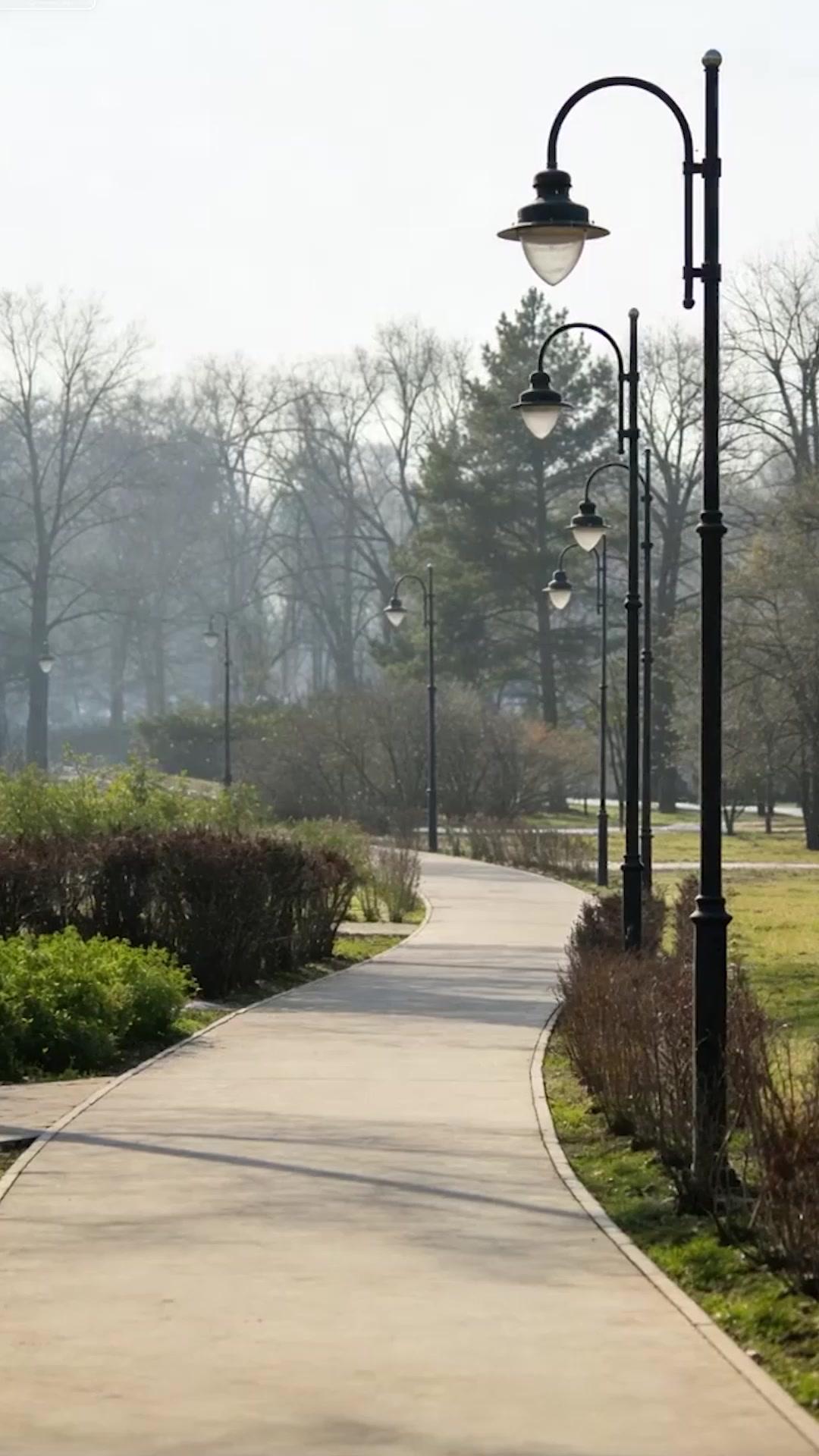 冷眼旁觀妳的末日