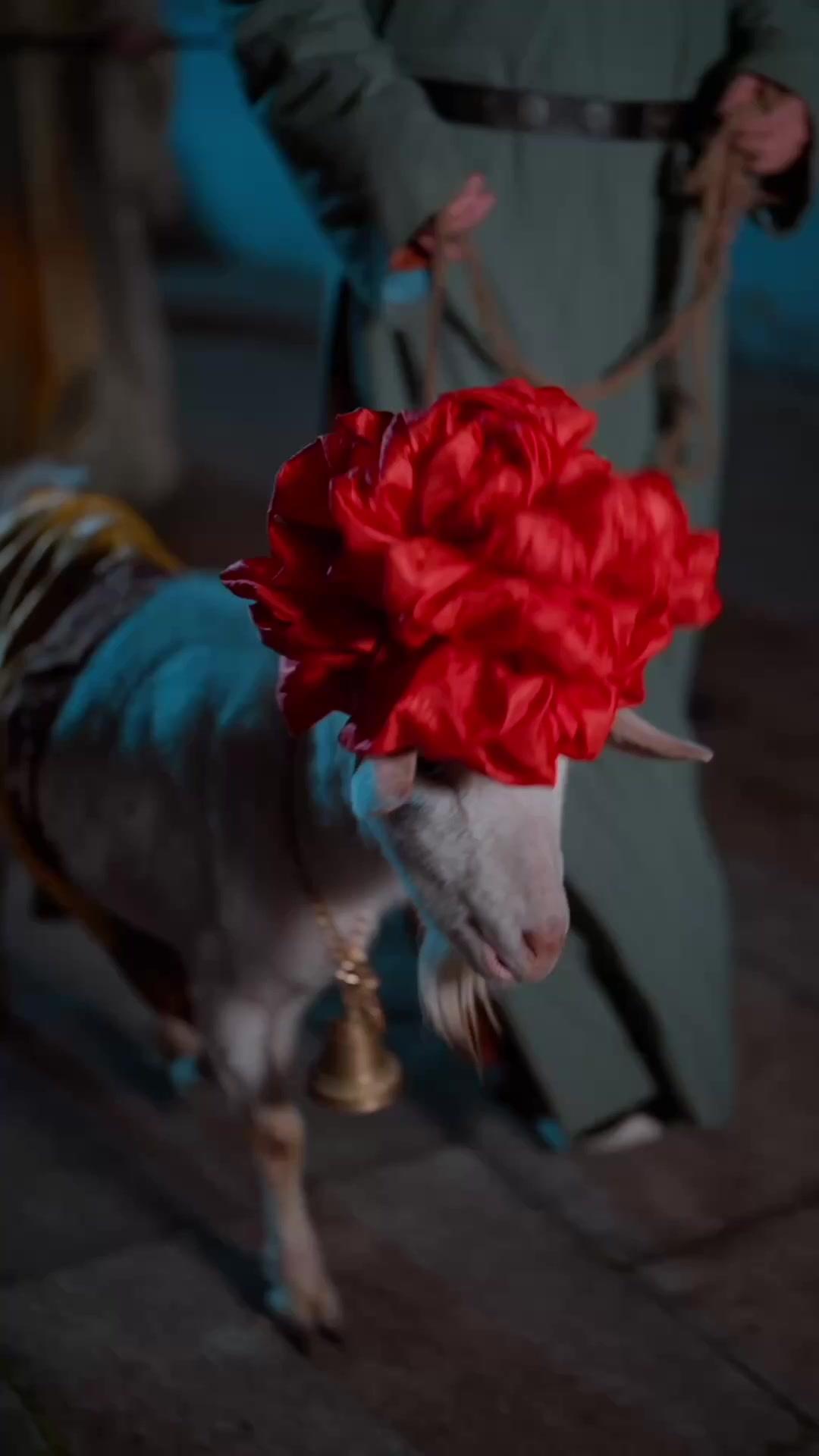 LE MASQUE DE LA VENGEANCE