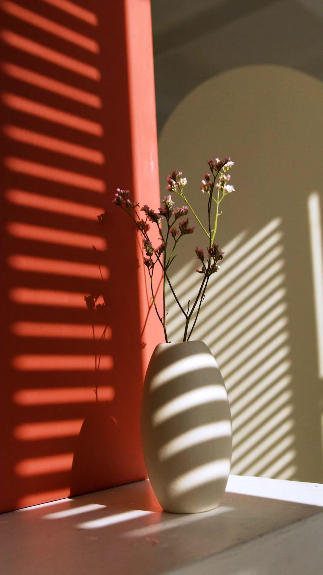 拒絕高冷女神後，我讓所有騙局都成真