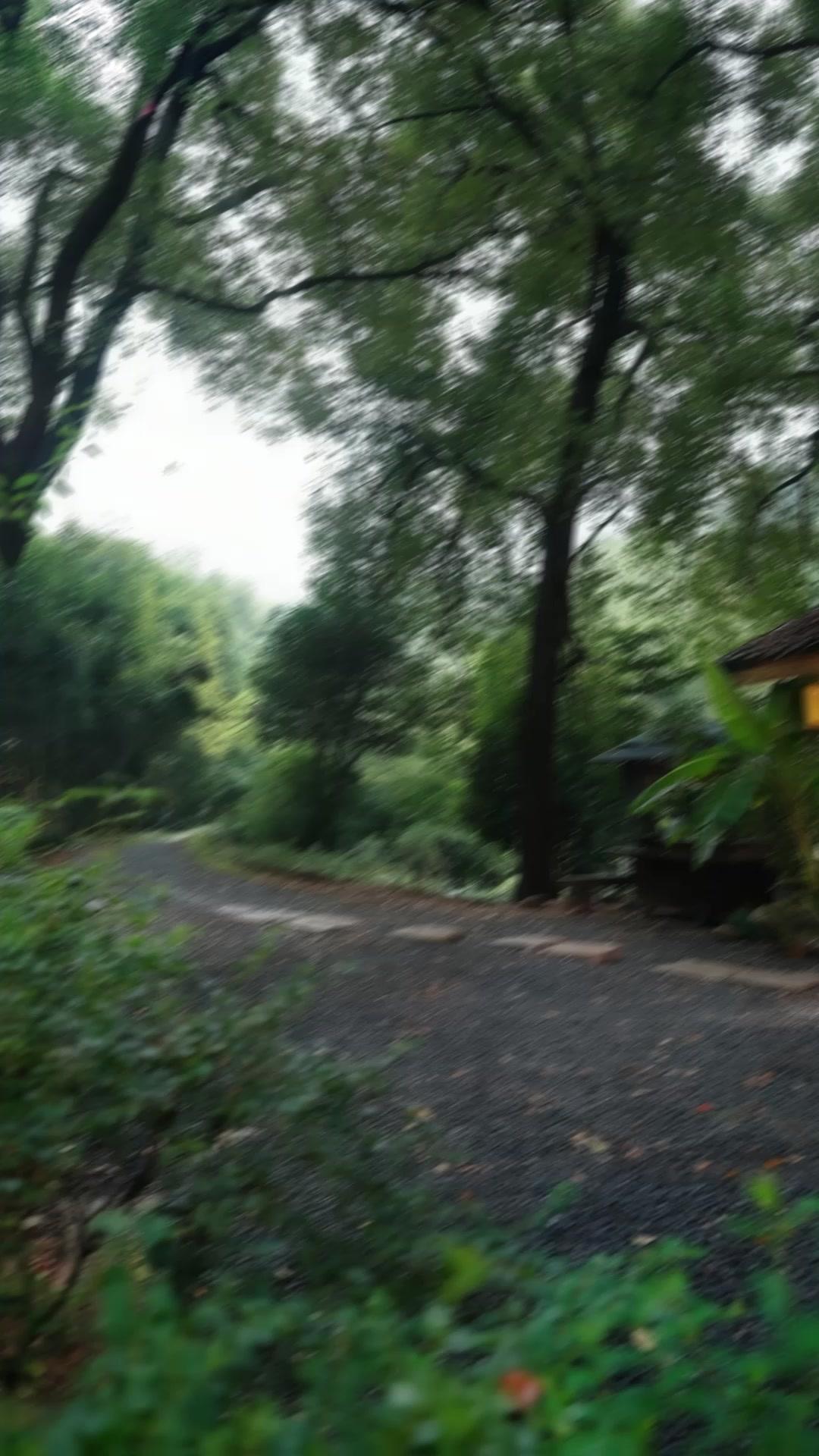 下山後，我靠天眼爆紅