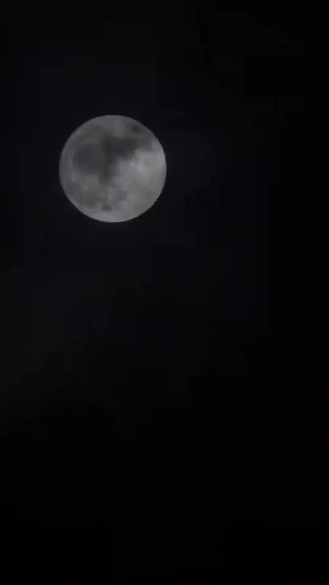 ¡Regresé con el guion en mano!