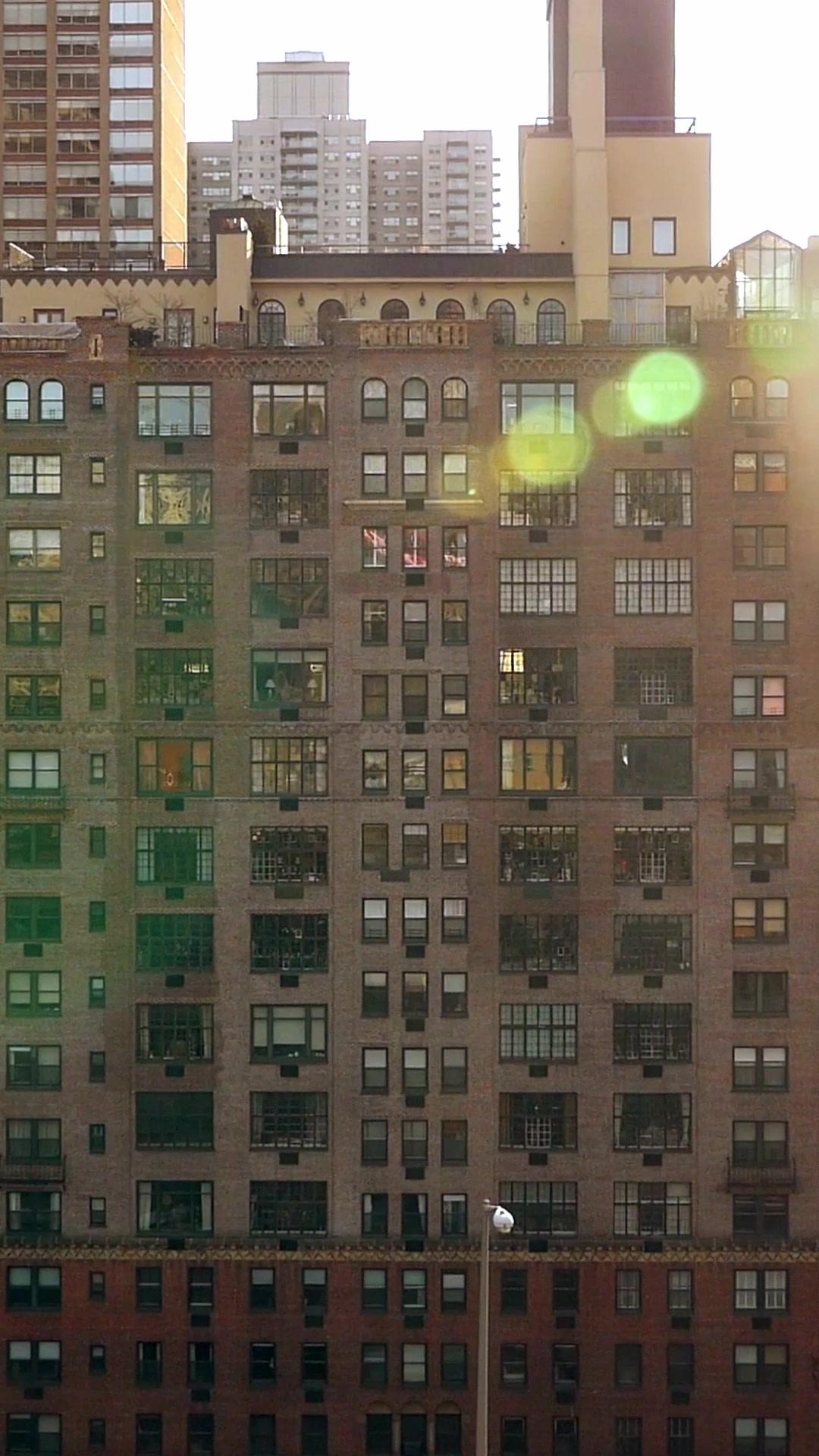 Got Pregnant by Billionaire Brothers