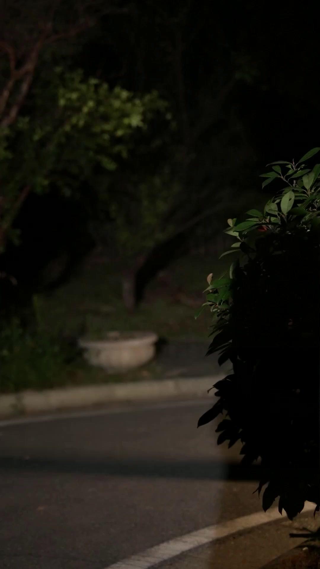 Pengantin Bank Darah