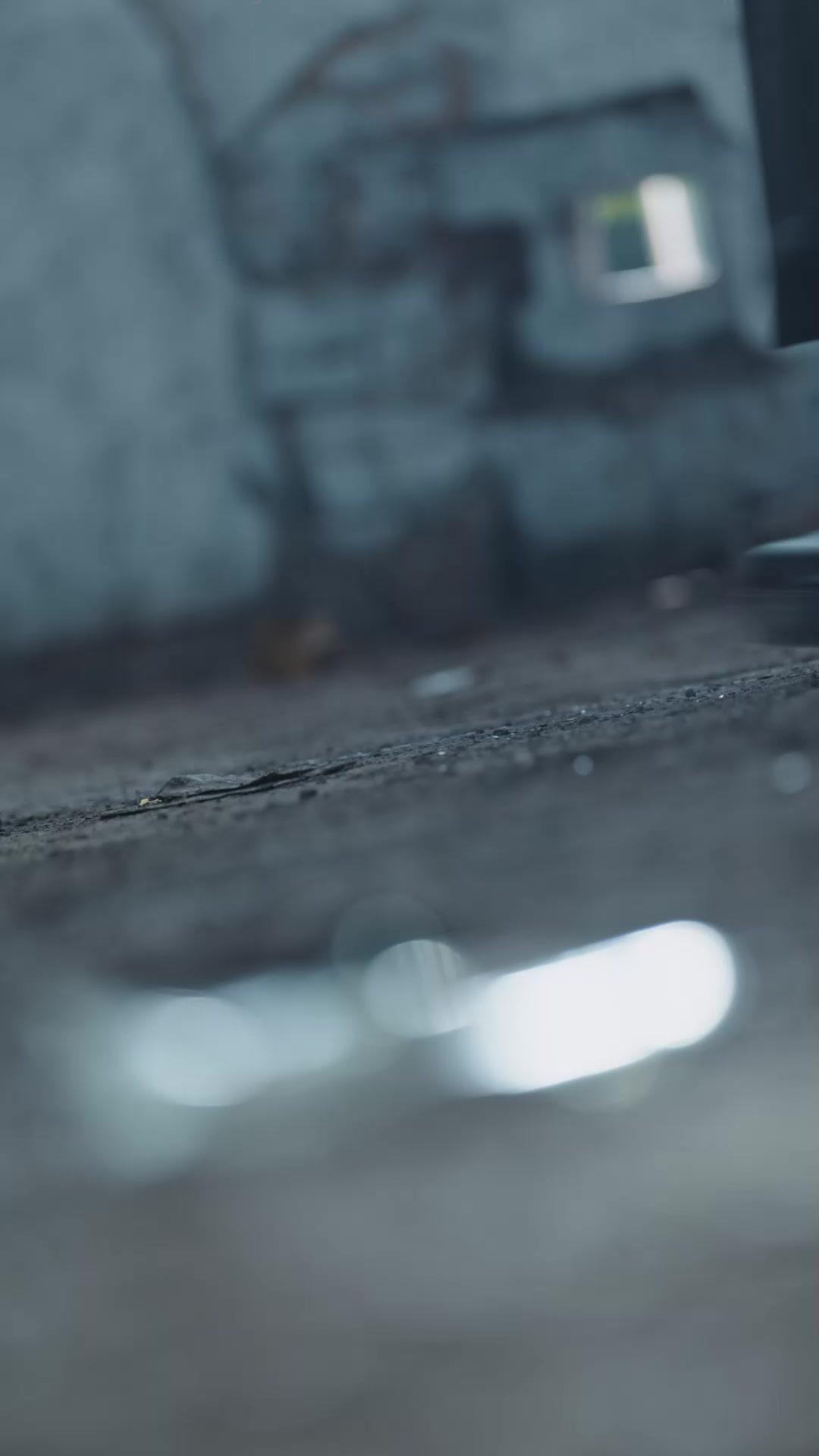 野丫頭是終極殺手