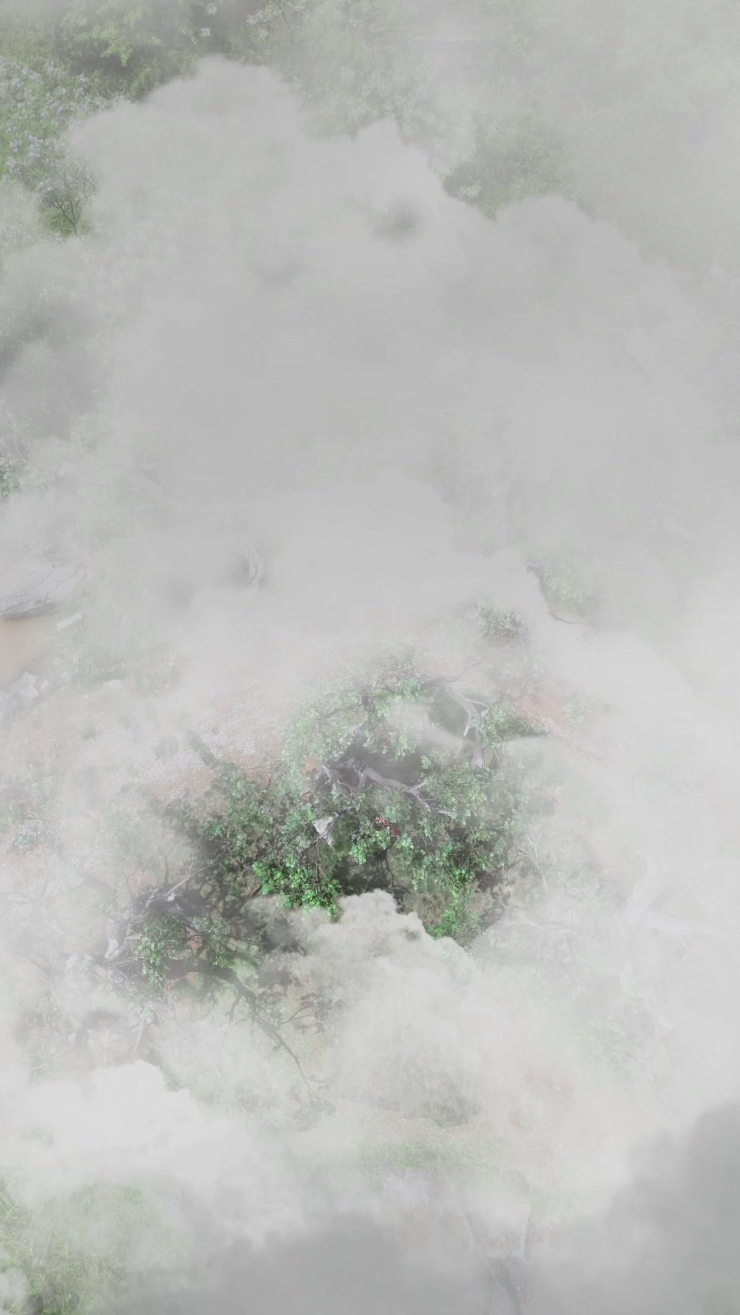 Pequeño demonio, gran protector