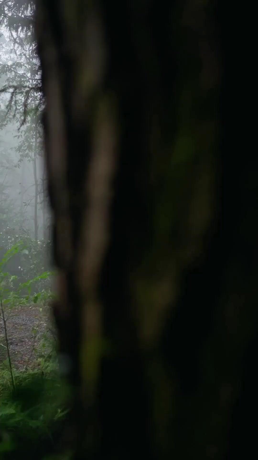 (Dublagem)Meu Pai Não É Qualquer Um