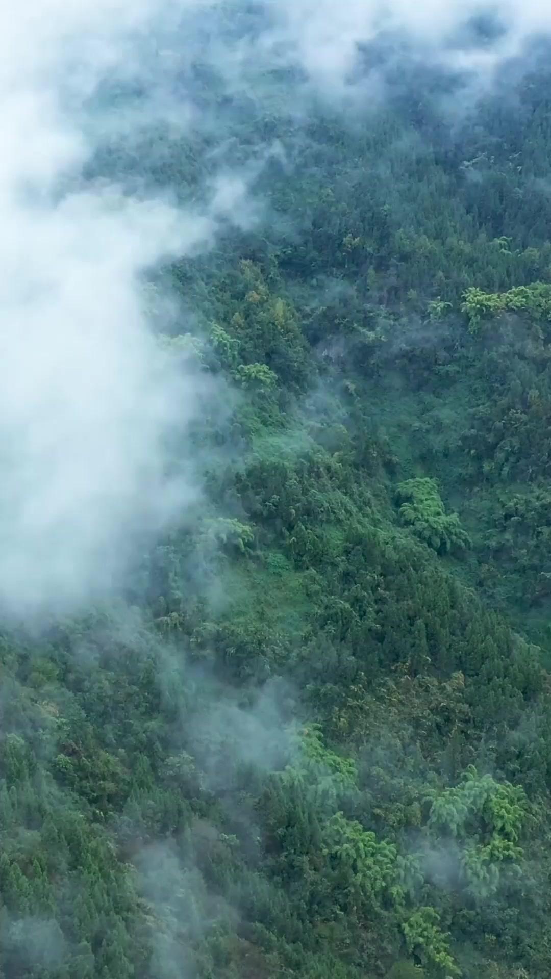 अग्नि का उदय