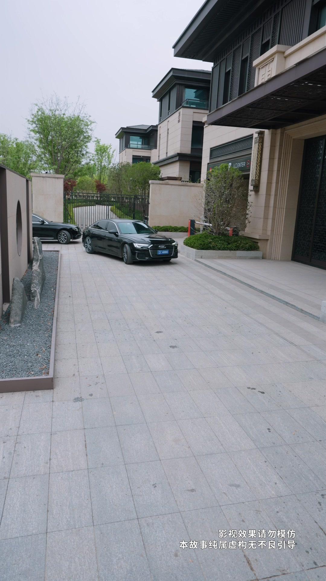 Chofer fantasea con millonaria 