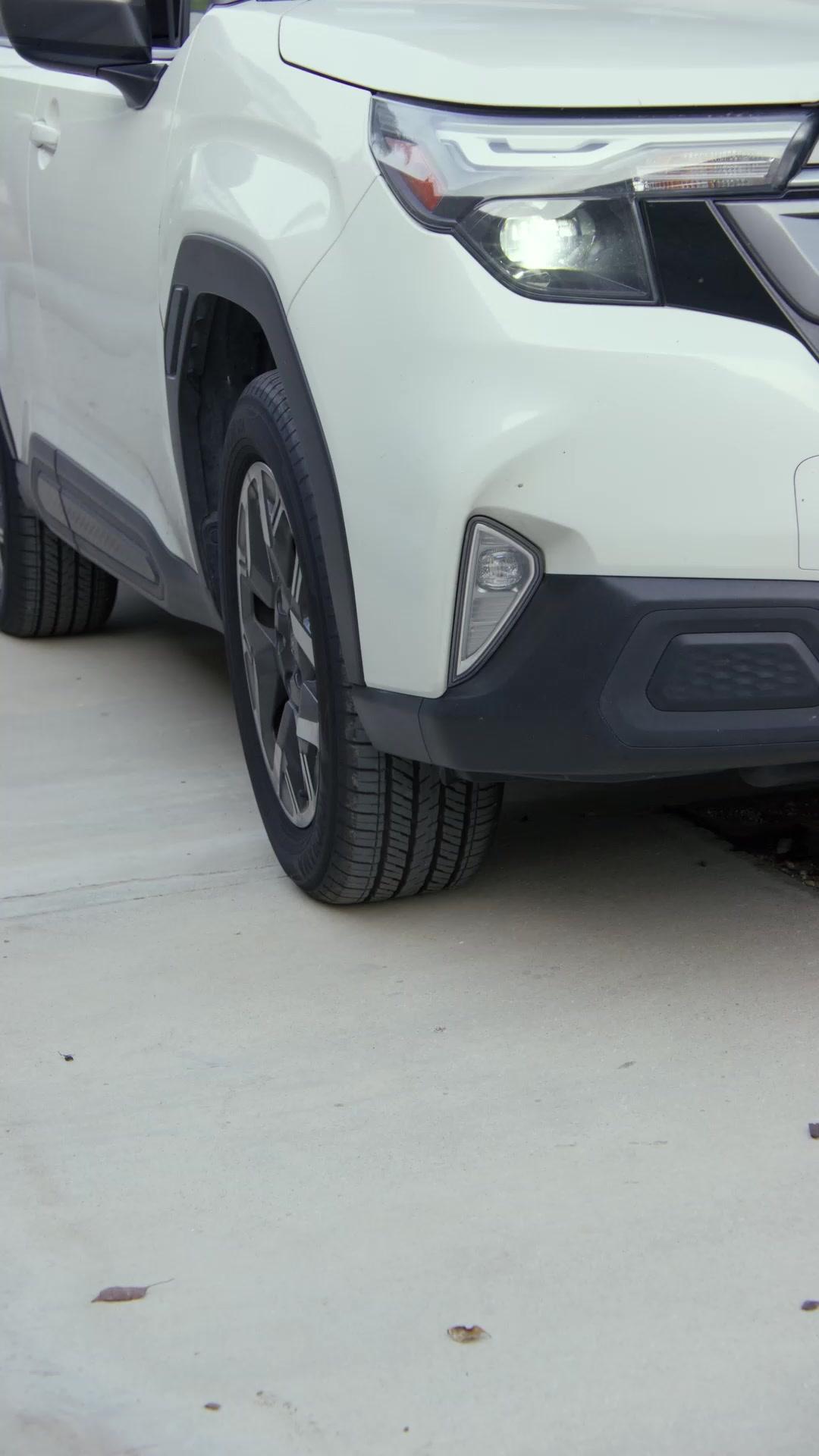 The Rose Comes With Thorns-2