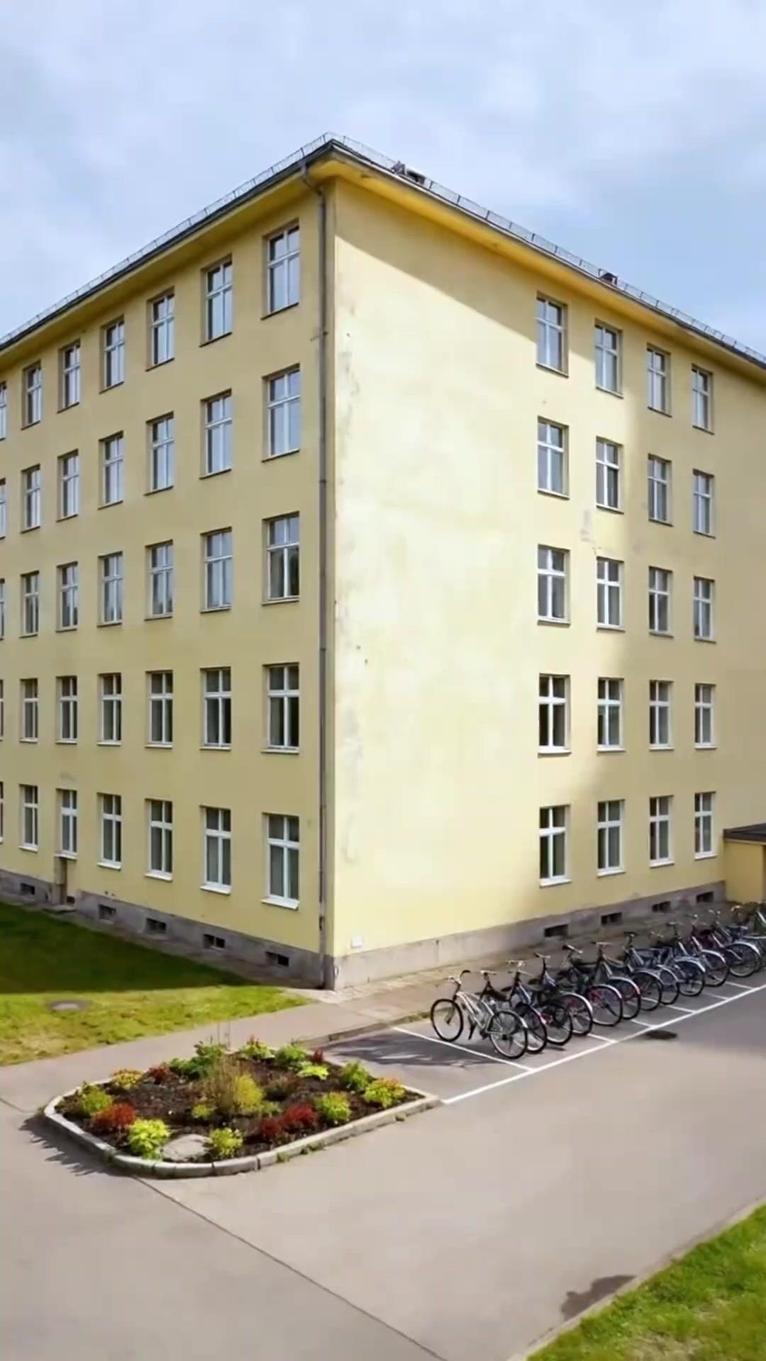 Die Erbin und ihr Spiel