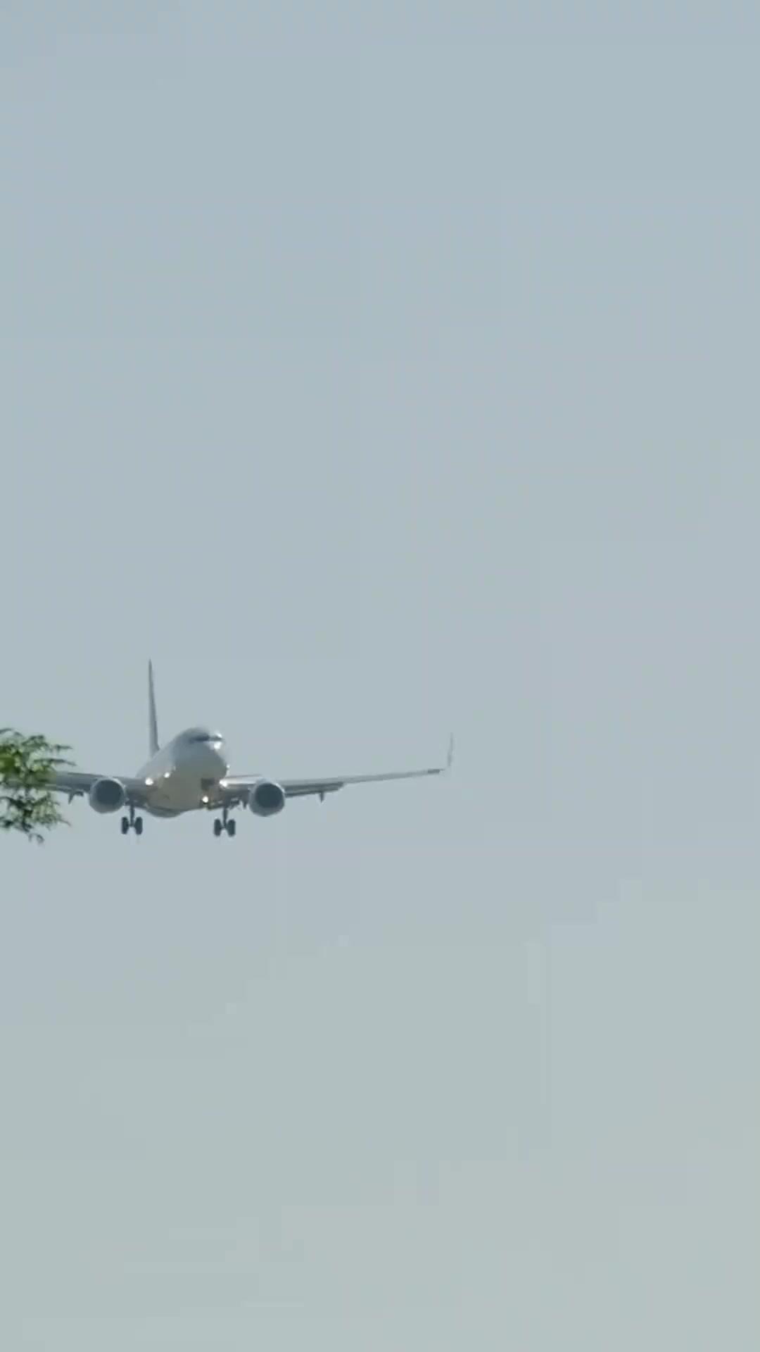 Vợ Anh Vừa Ngầu Vừa Đẹp